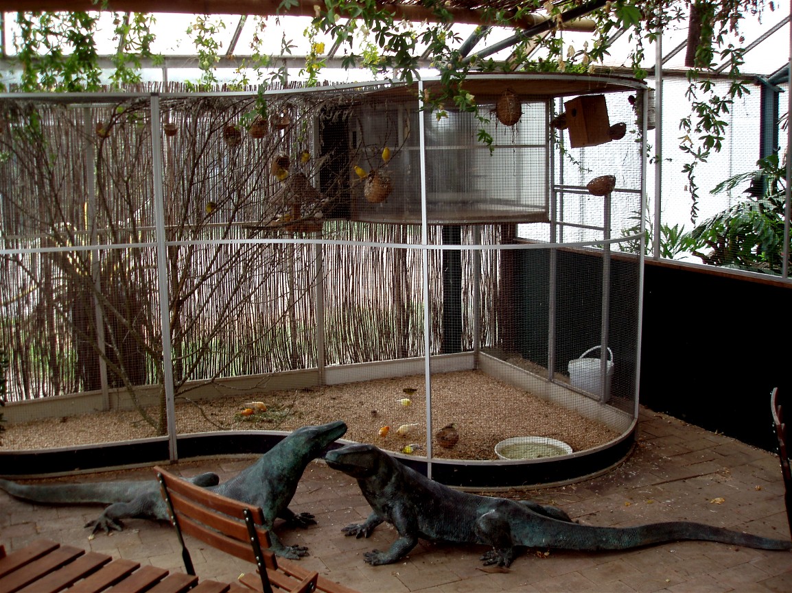 North Zealand Birdpark - Aviary