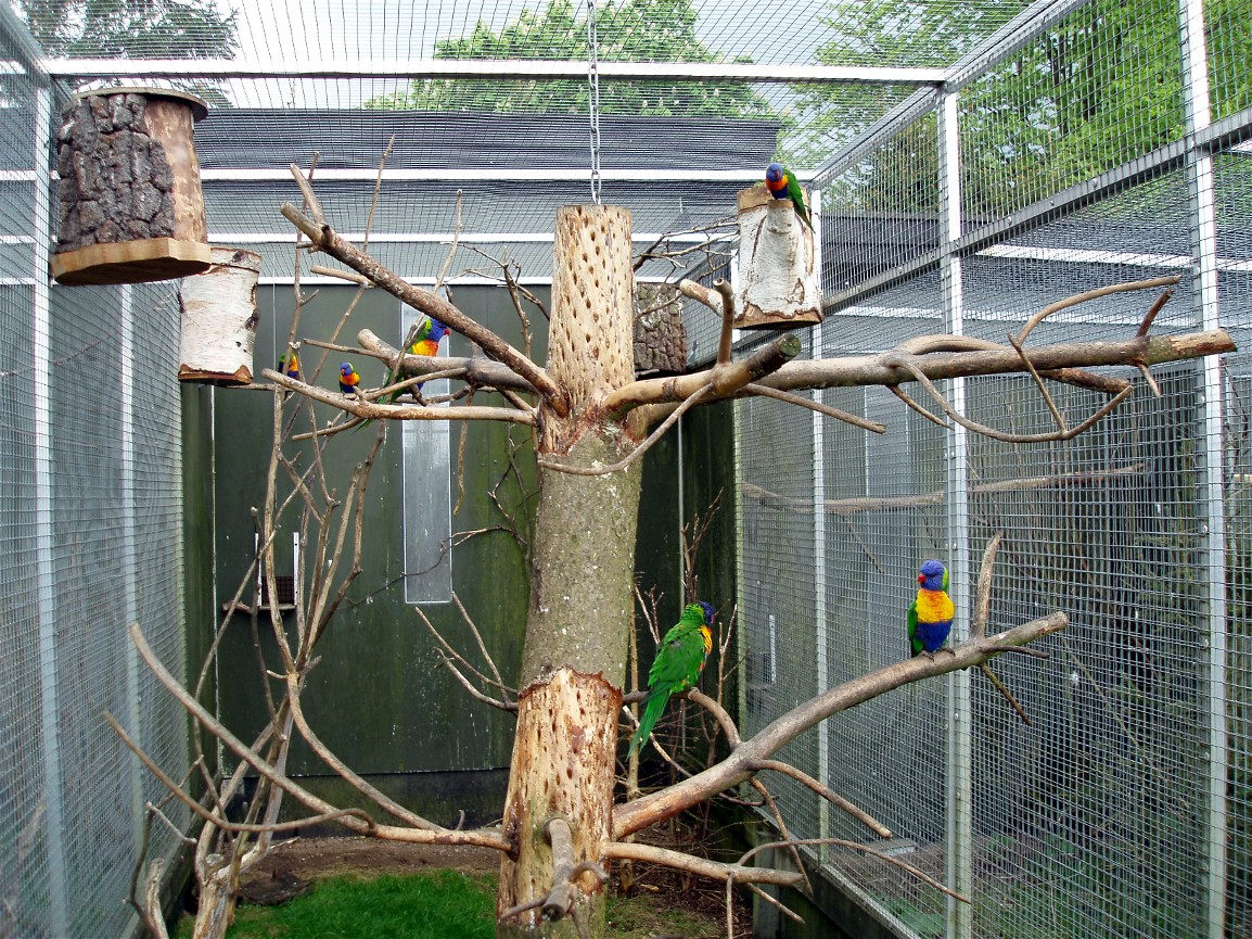 North Zealand Birdpark - Lorikeet aviary
