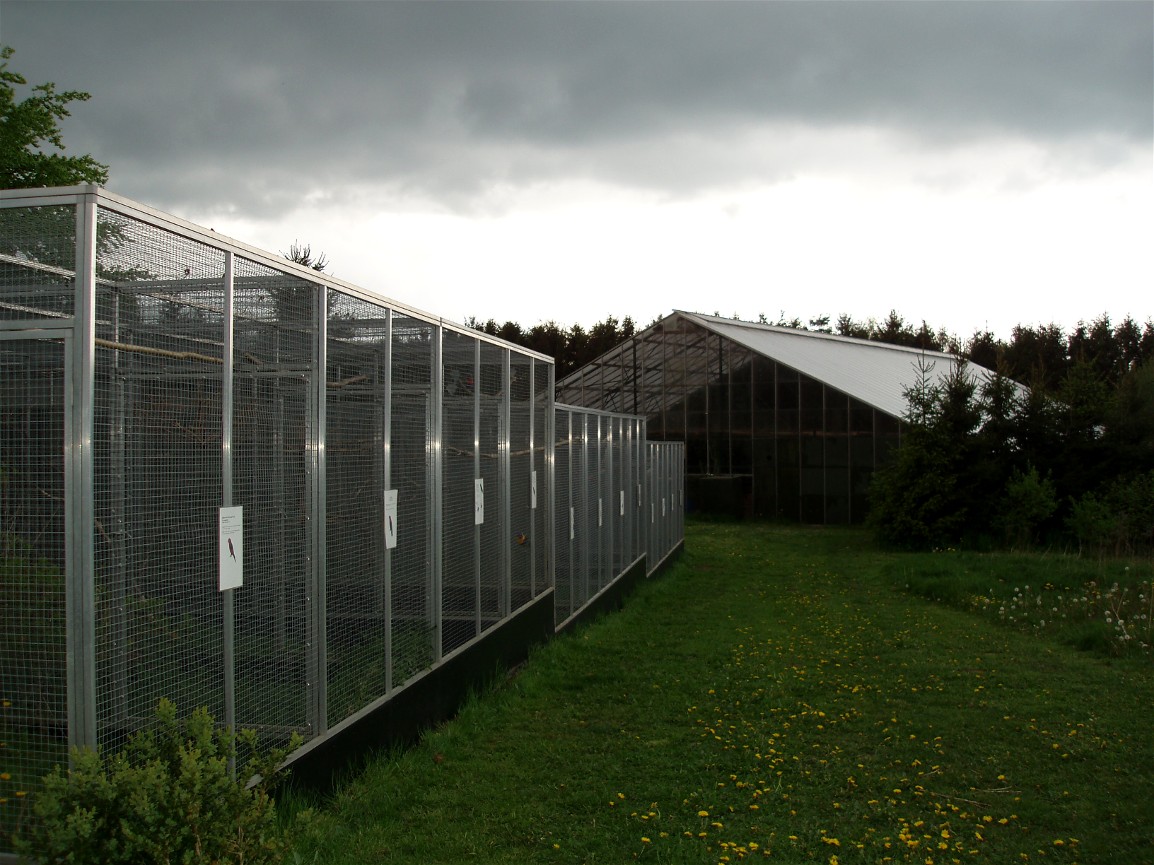 North Zealand Birdpark - Lory aviaries