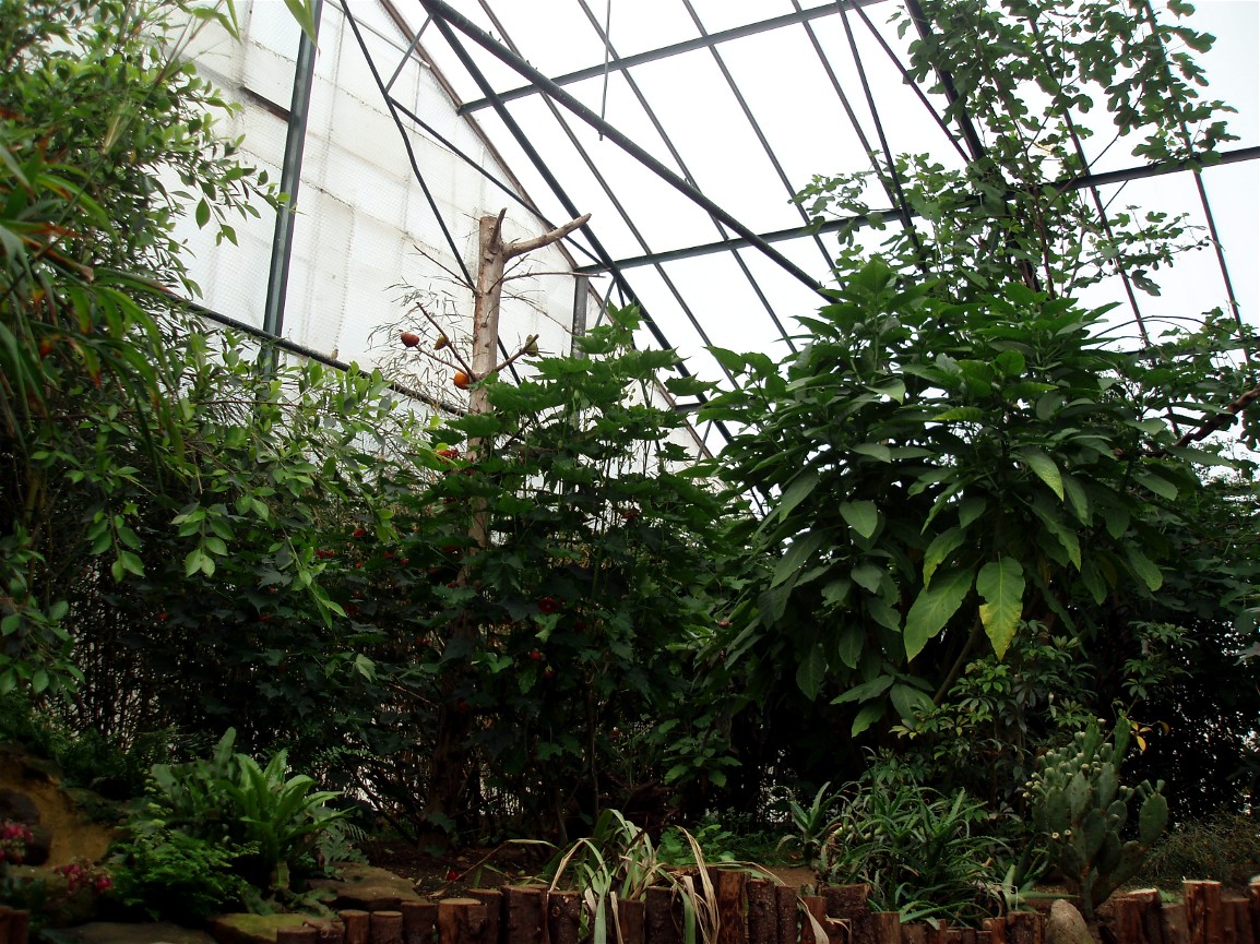 North Zealand Birdpark - Tropical hall