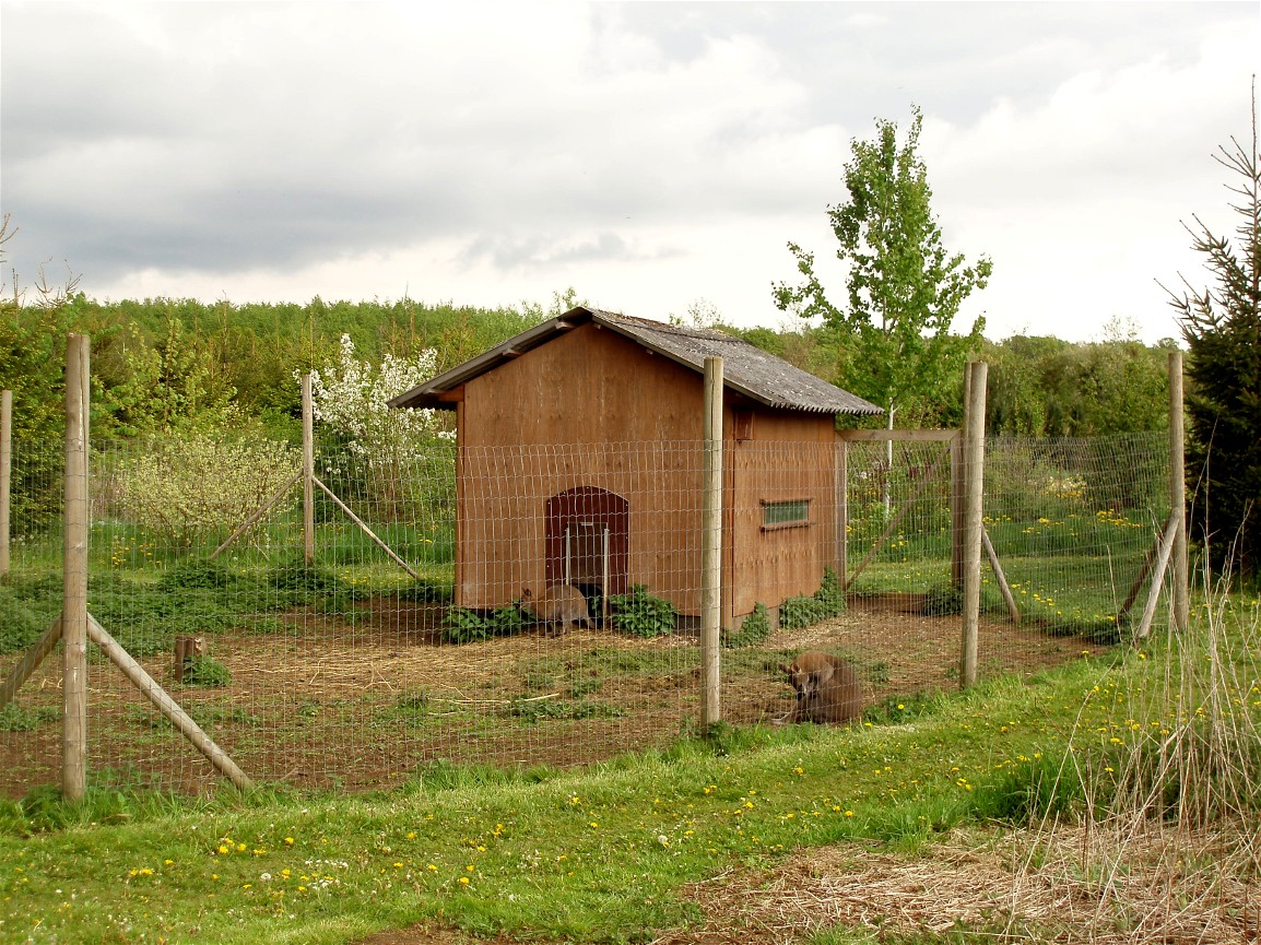 North Zealand Birdpark - Wallaby exhibit