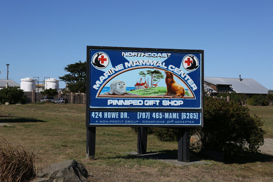 Northcoast Marine Mammal Center