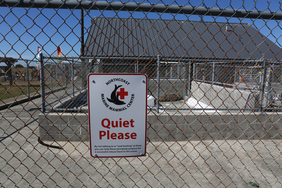 Northcoast Marine Mammal Center