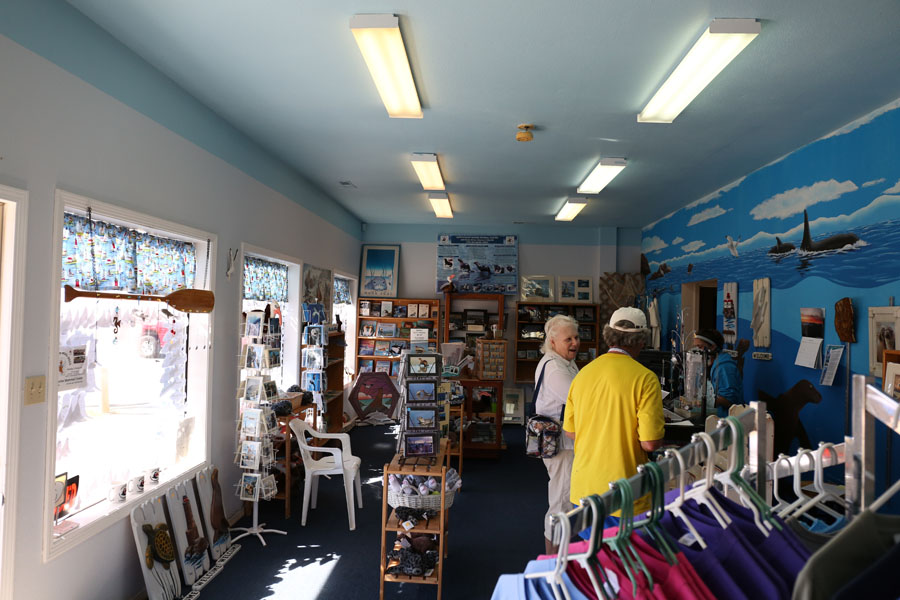 Northcoast Marine Mammal Center