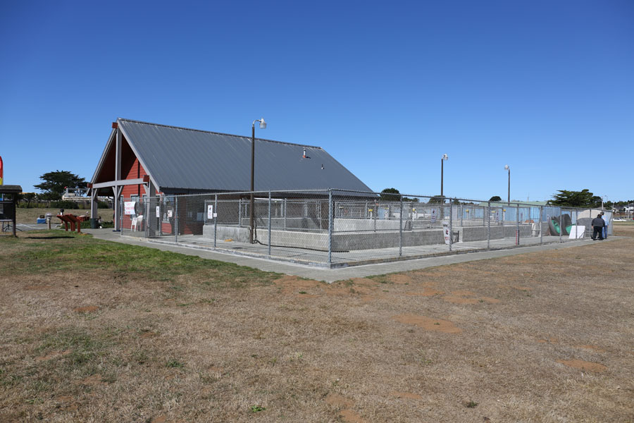 Northcoast Marine Mammal Center