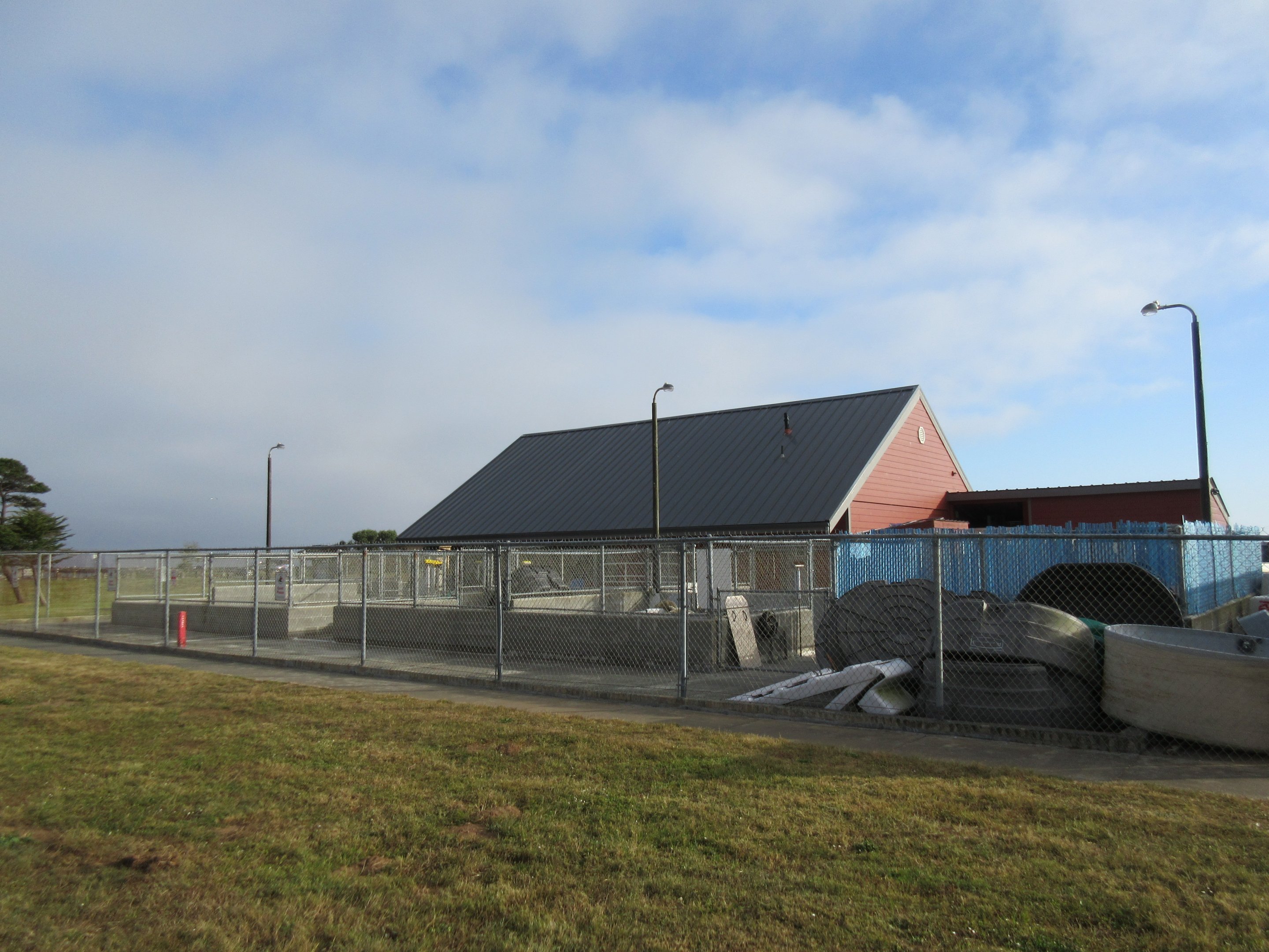 Northcoast Marine Mammal Center