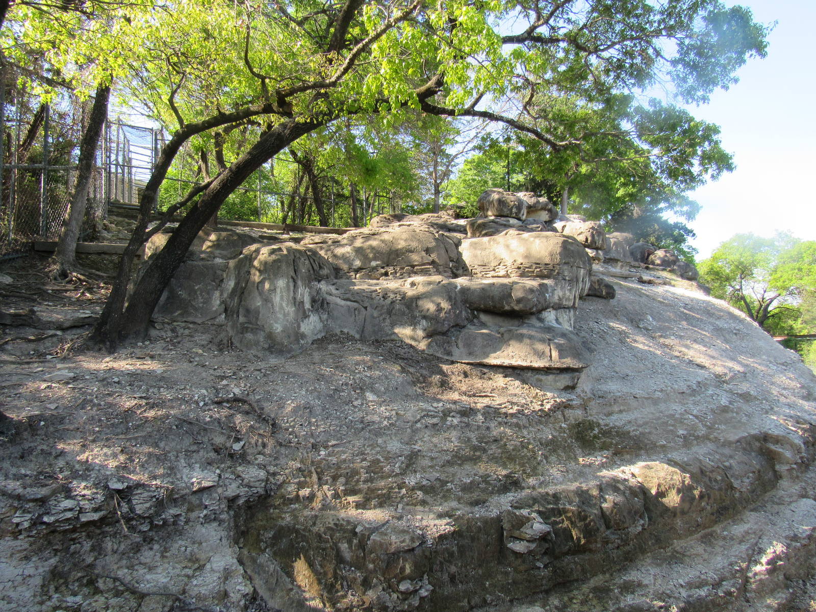 Northeastern African Mountains Habitat