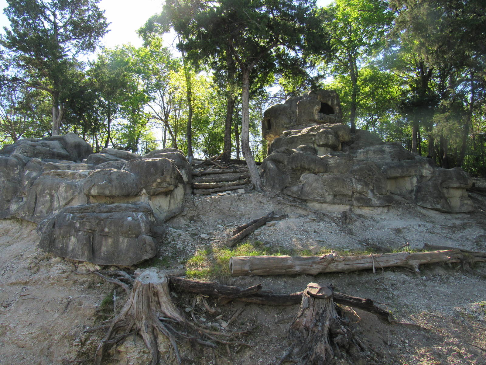 Northeastern African Mountains Habitat