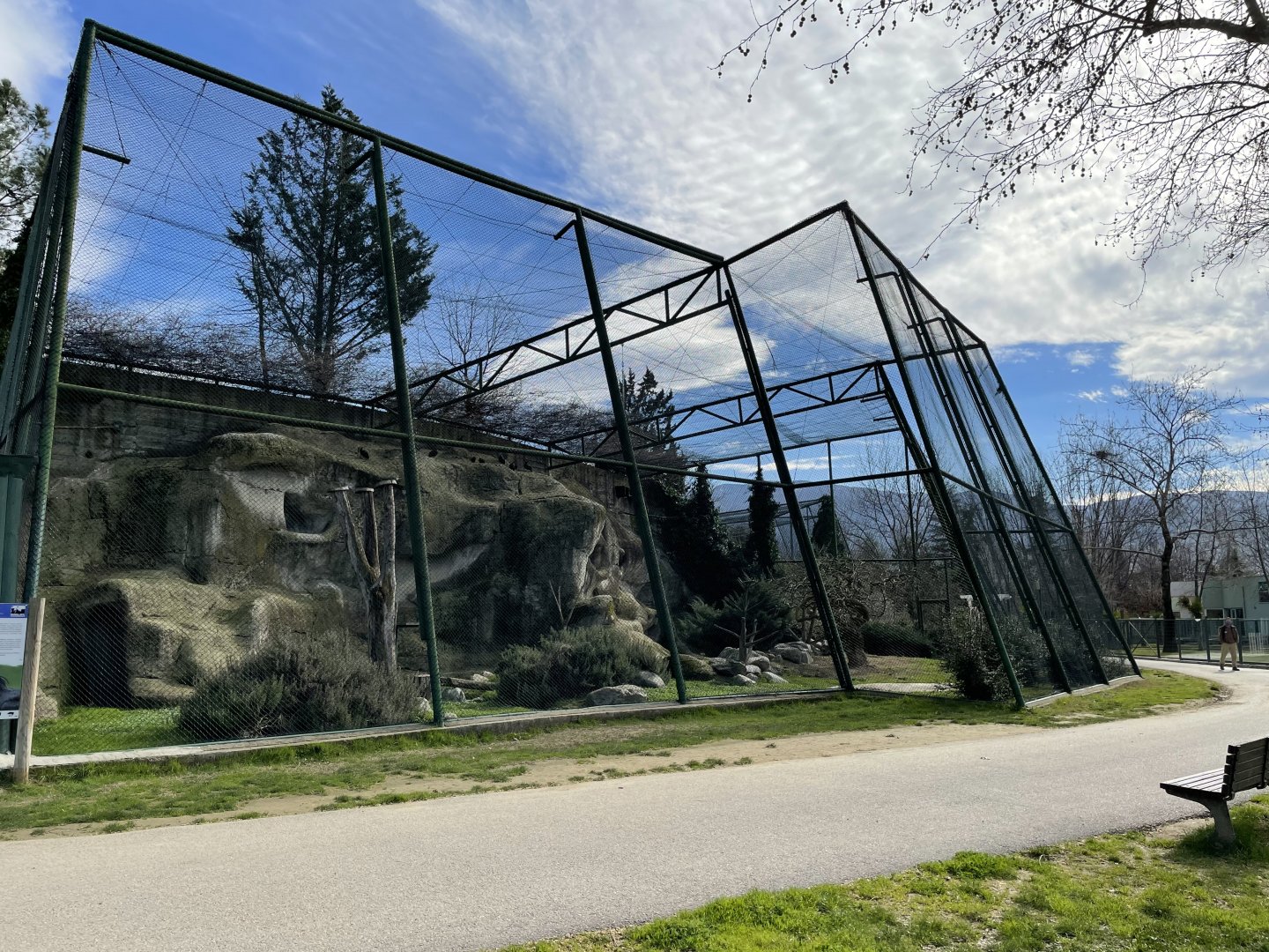Northern bald ibis aviary