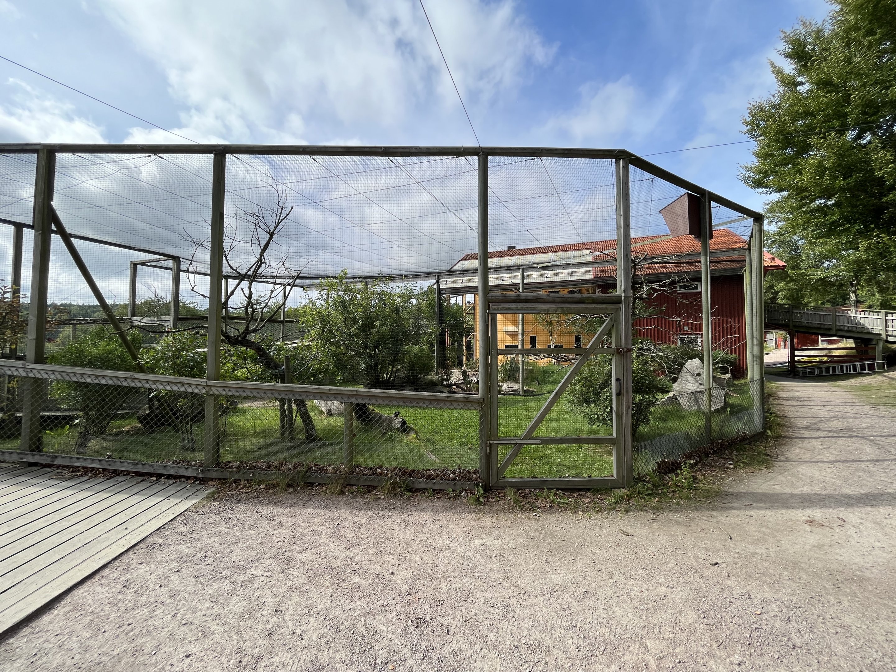 Northern Bald Ibis Aviary