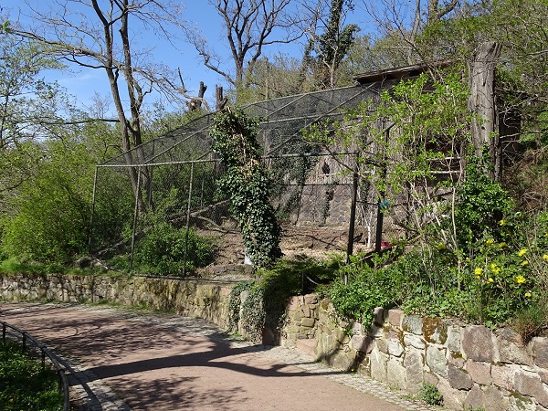 Northern bald ibis enclosure (04/22)