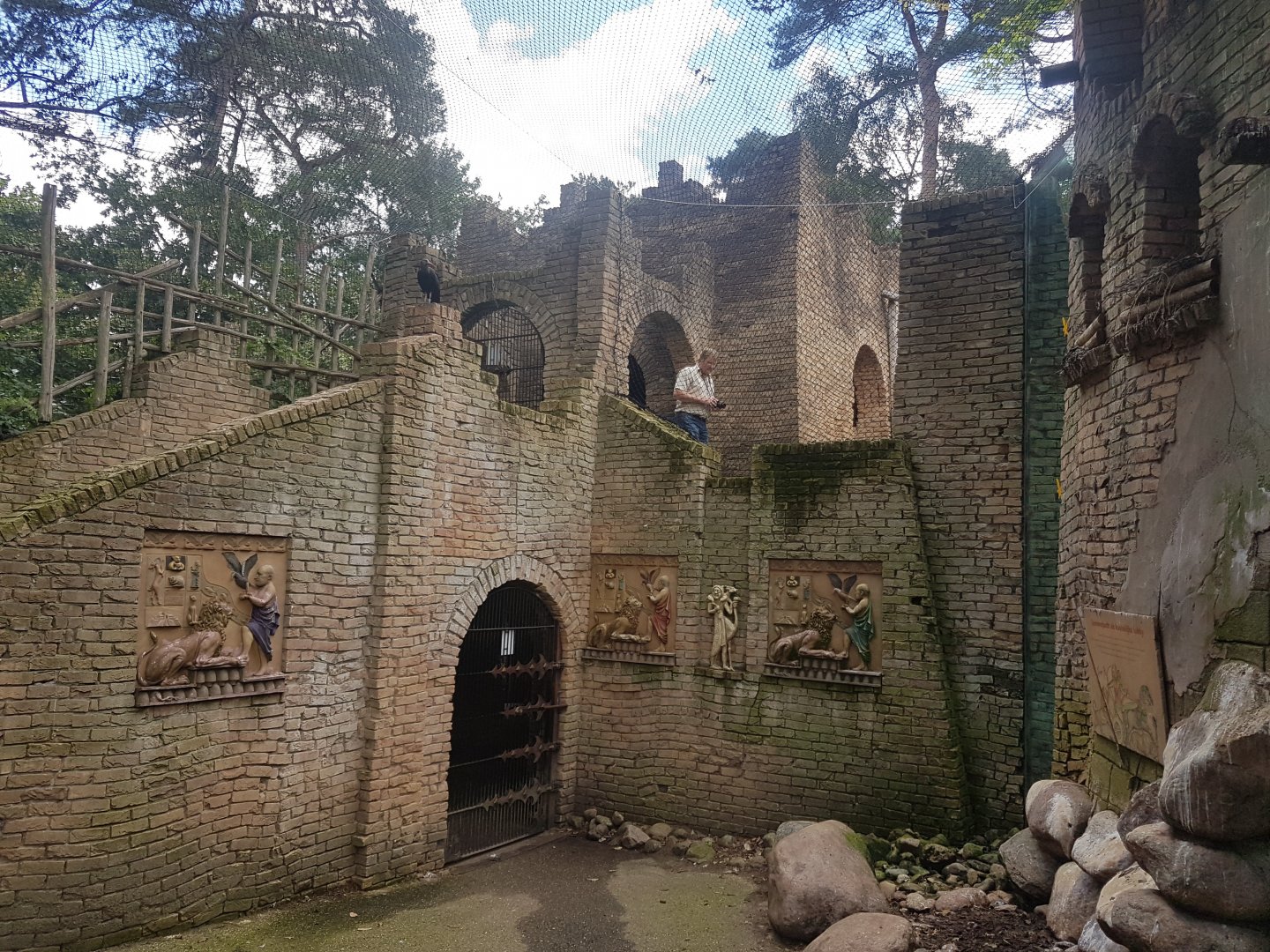 Northern bald ibis walk-through aviary