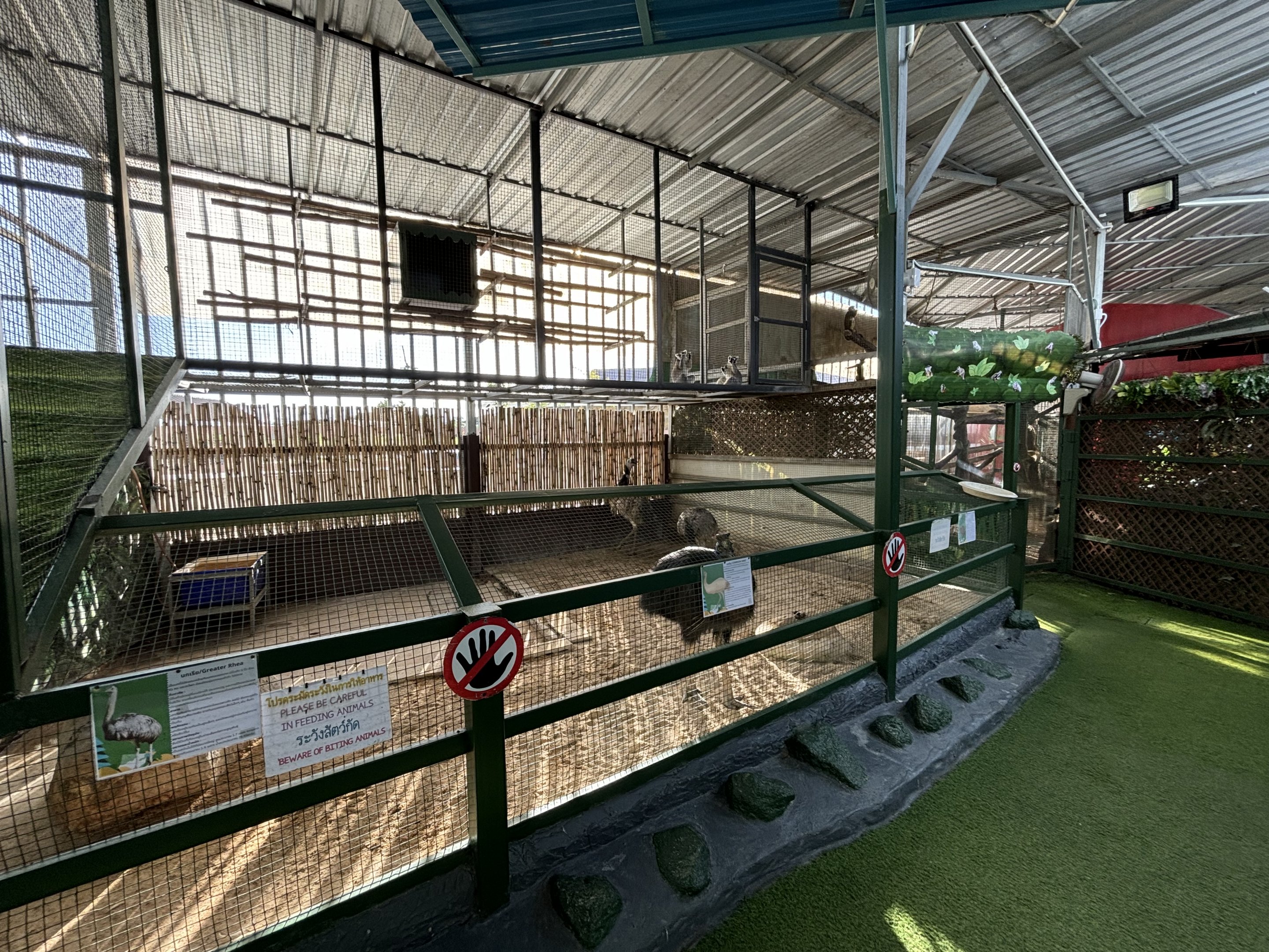 Northern Cassowary/Rhea/Emu Exhibit