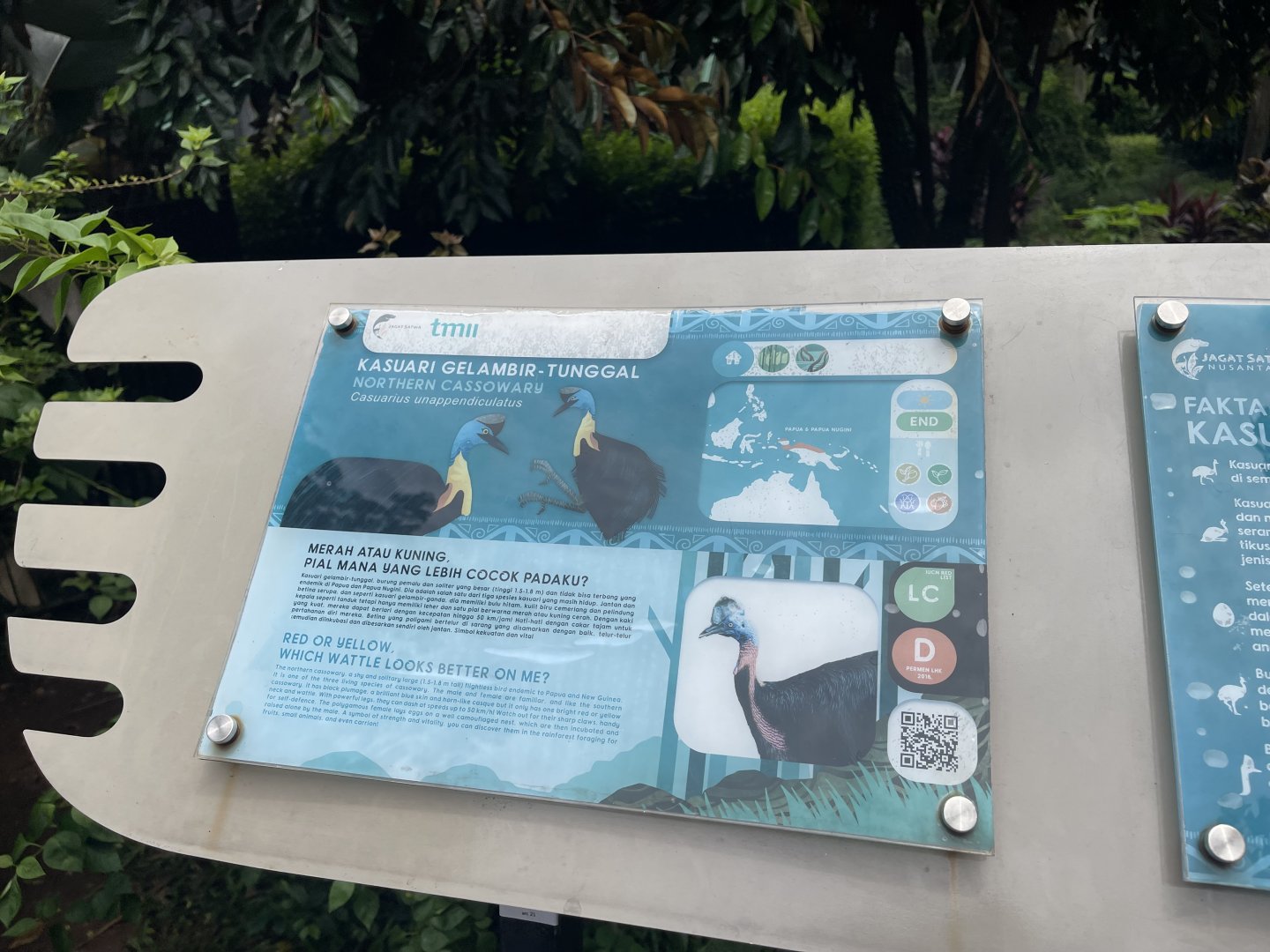 northern cassowary signage (1) - taman burung