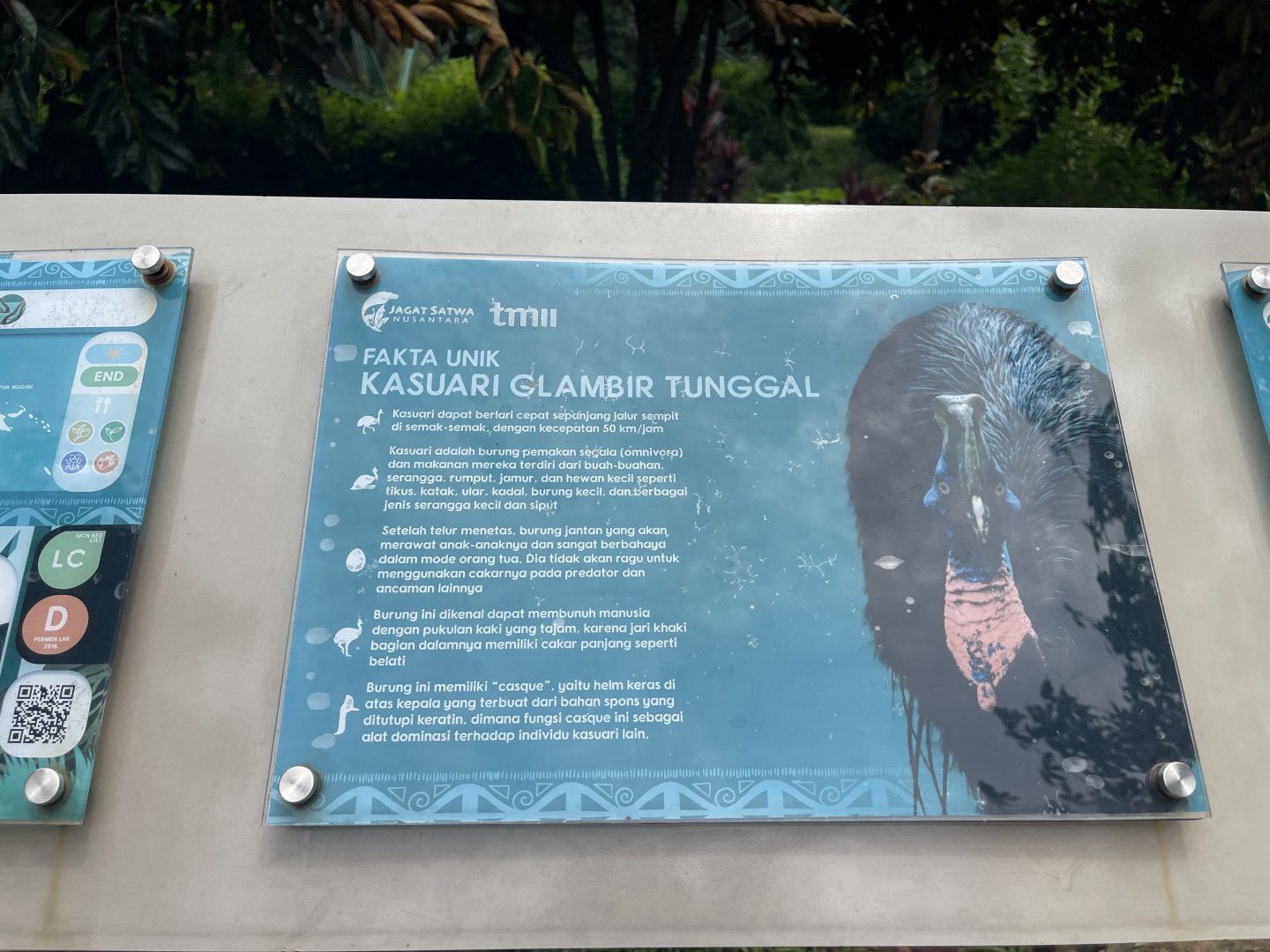 northern cassowary signage (2) - taman burung