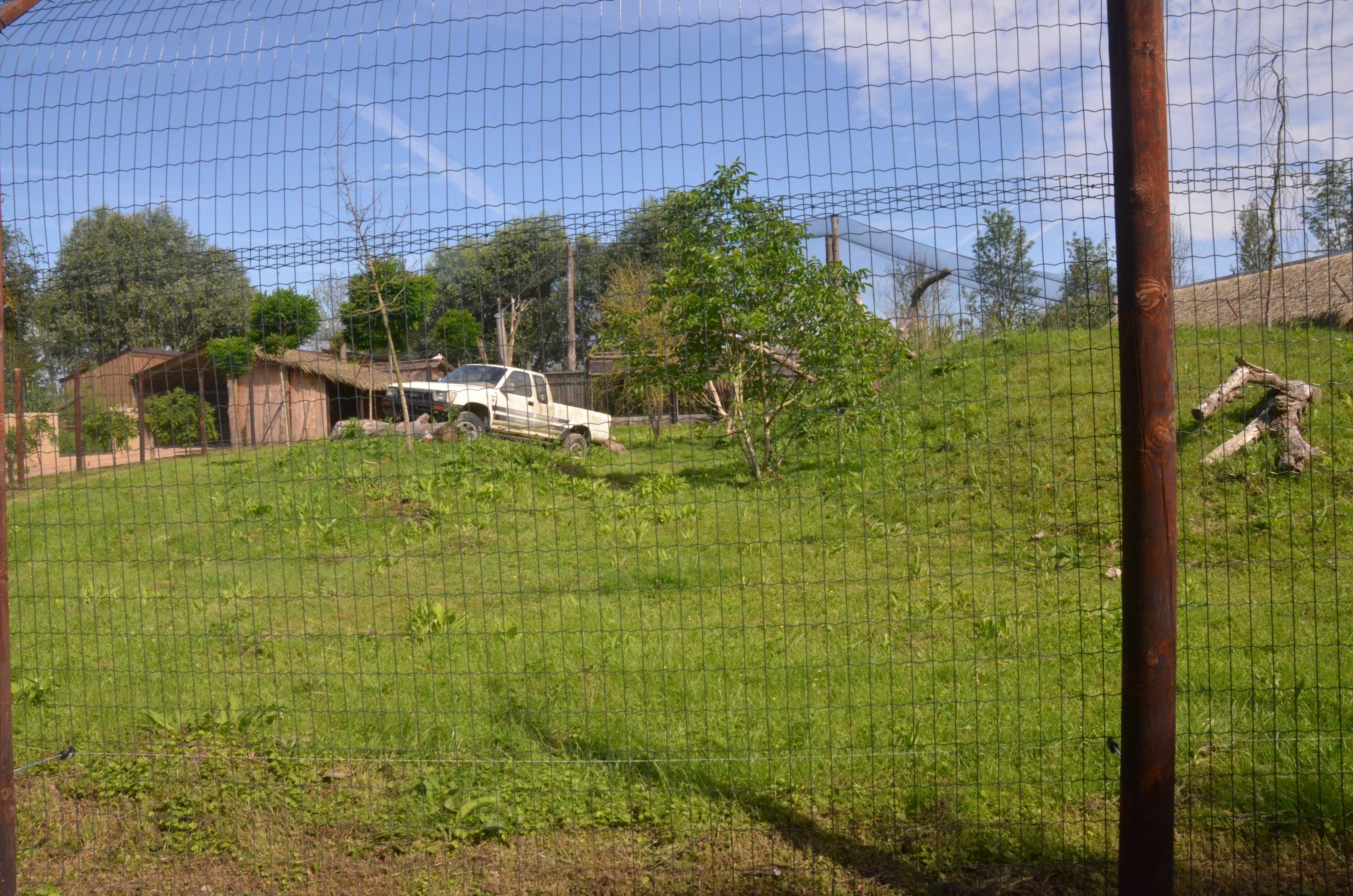 Northern Cheetah Enclosure at Biotropica, 16/06/18