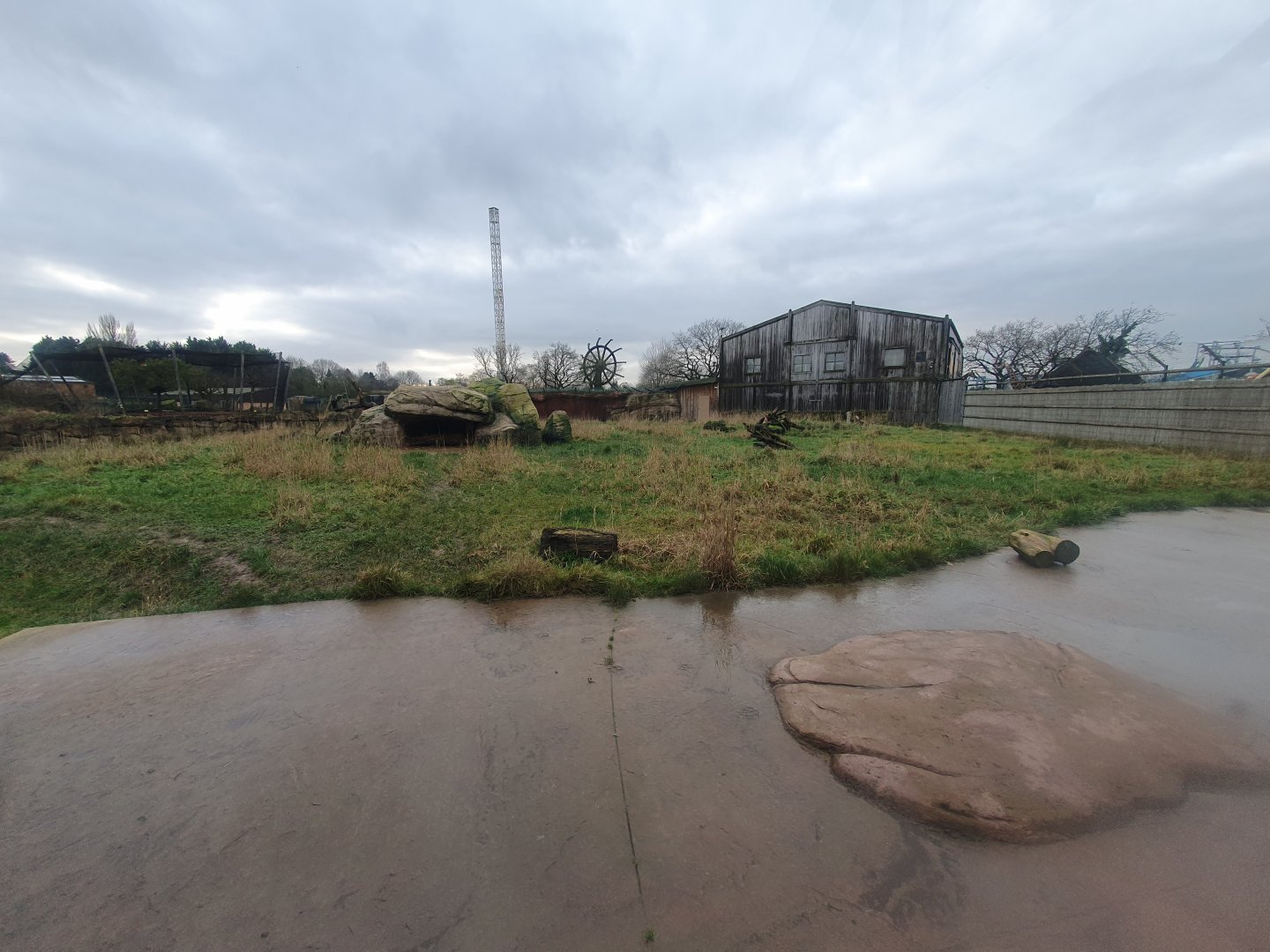 Northern Cheetah enclosure
