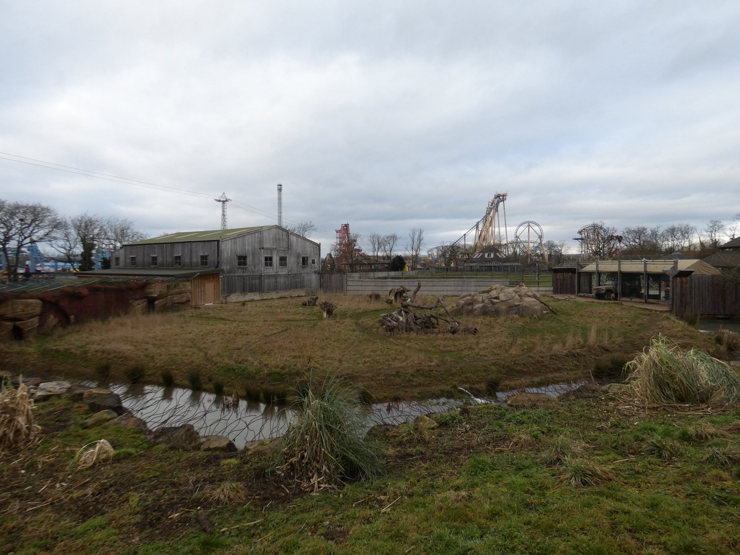 Northern cheetah exhibit