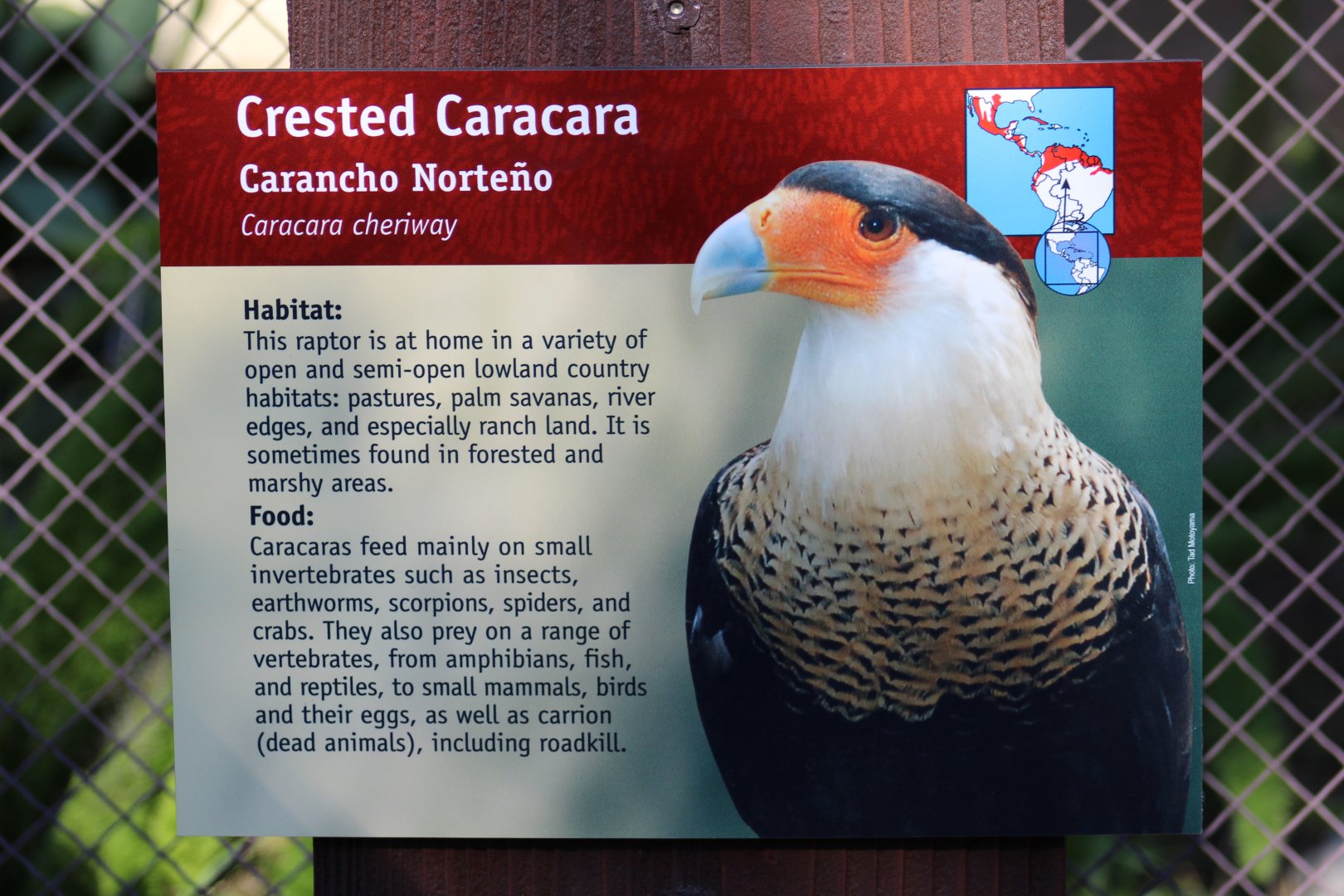 Northern Crested Caracara Signage
