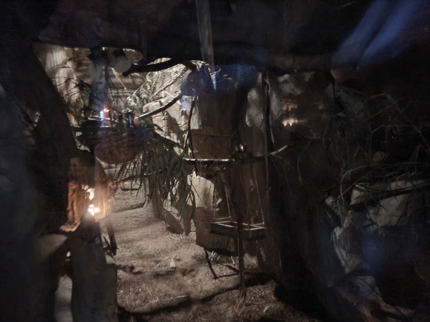 Northern Dry Zone Slow loris enclosure 17/12/23