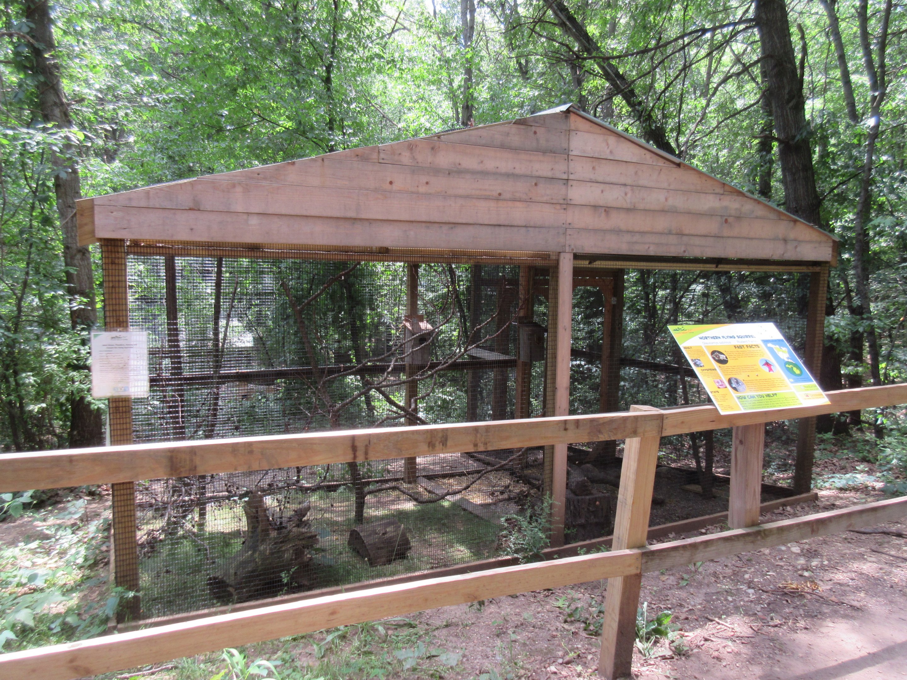 Northern Flying Squirrel Exhibit