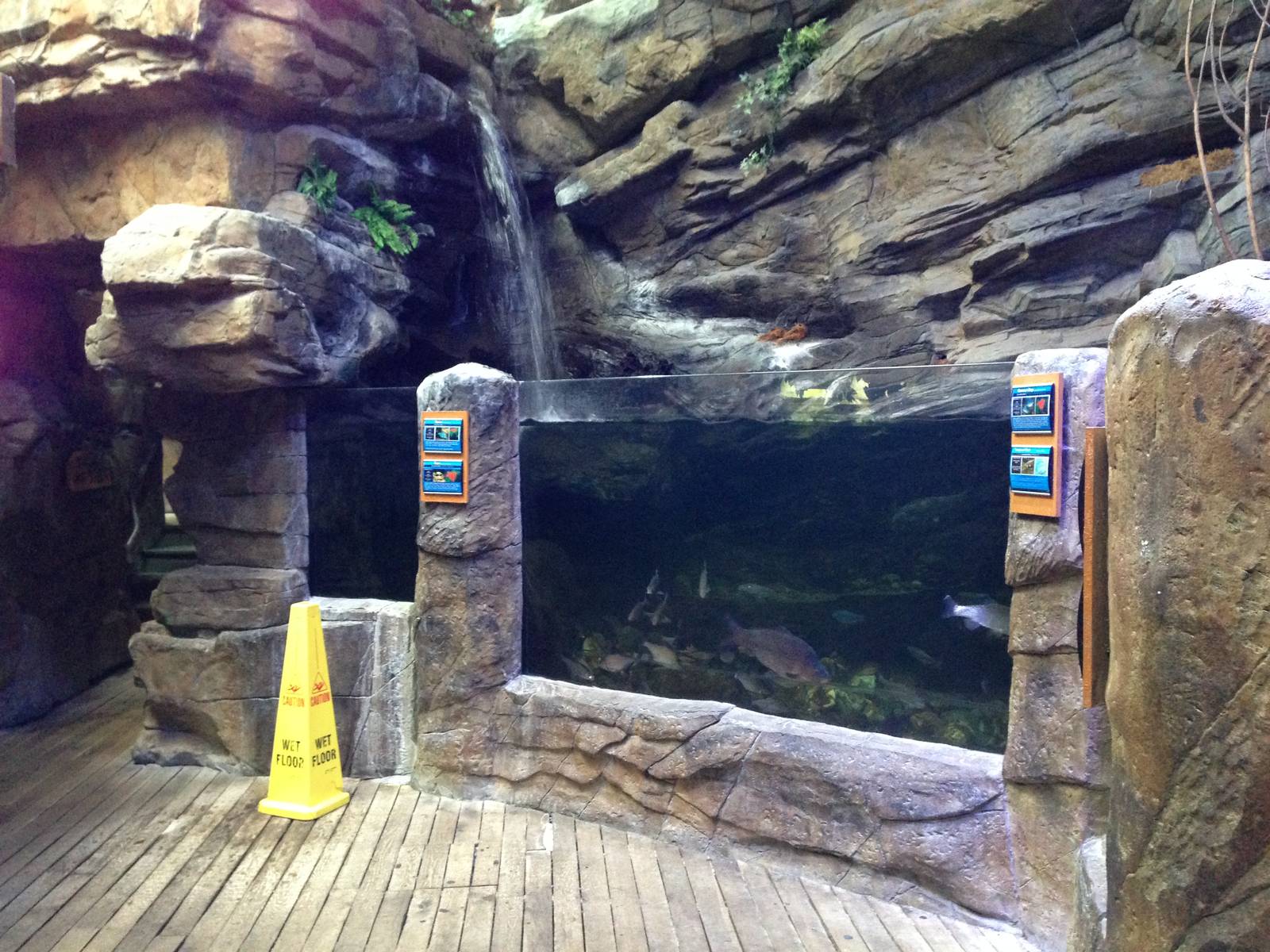 Northern Freshwater Tank at Blue Planet Aquarium - 05/10/2013