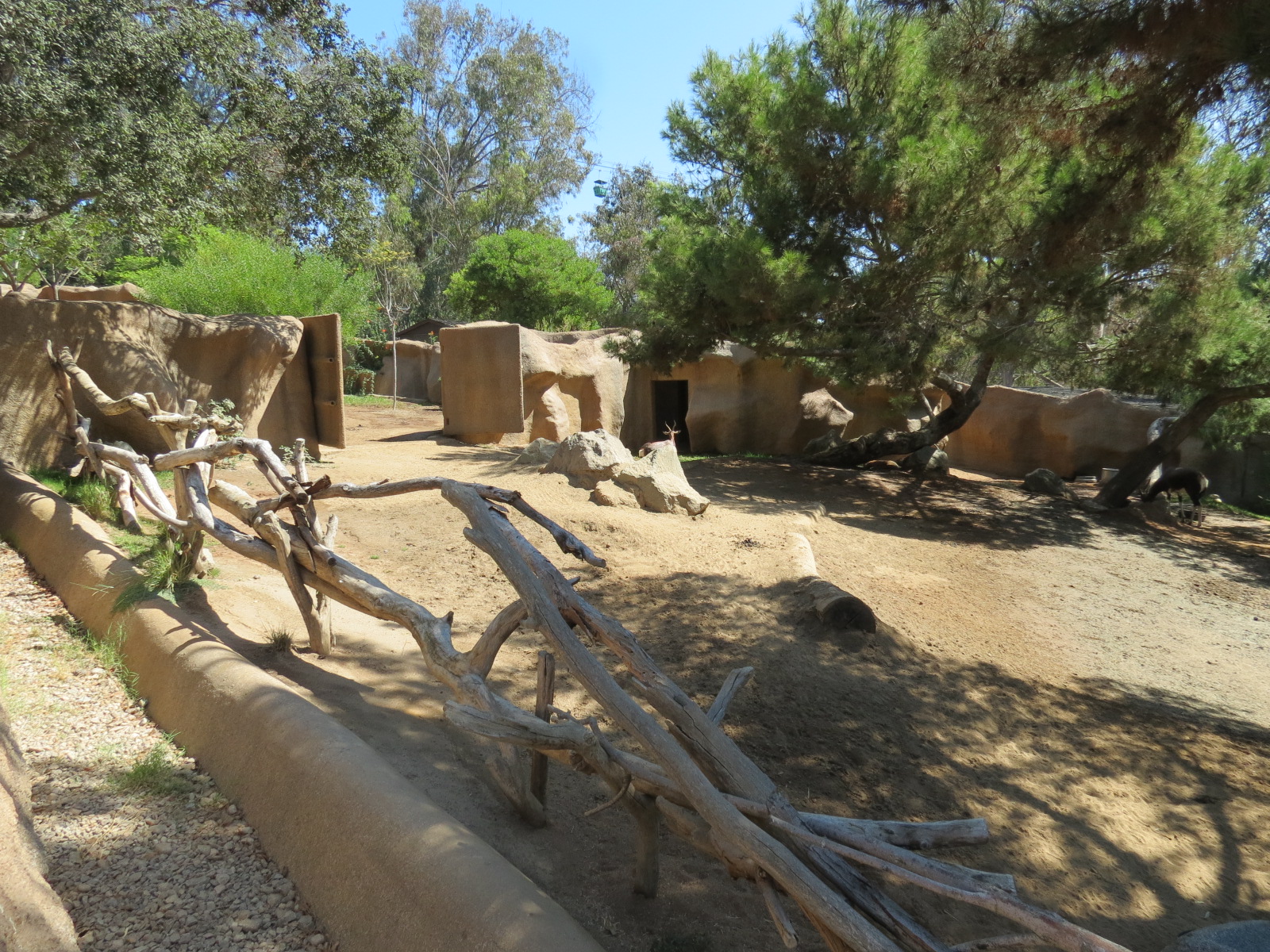 Northern Frontier - Bontebok Exhibit