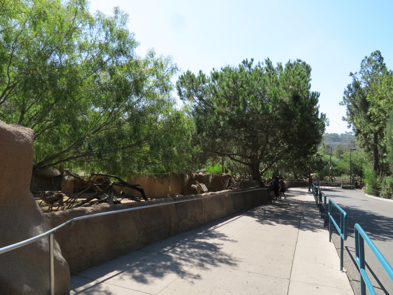 Northern Frontier - Cuviers Gazelle Exhibit