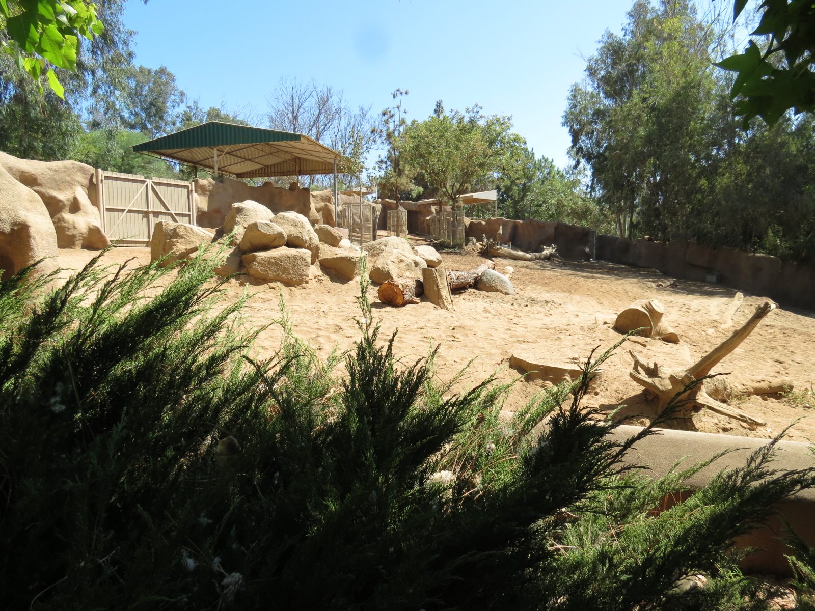 Northern Frontier - Grevys Zebra Exhibit