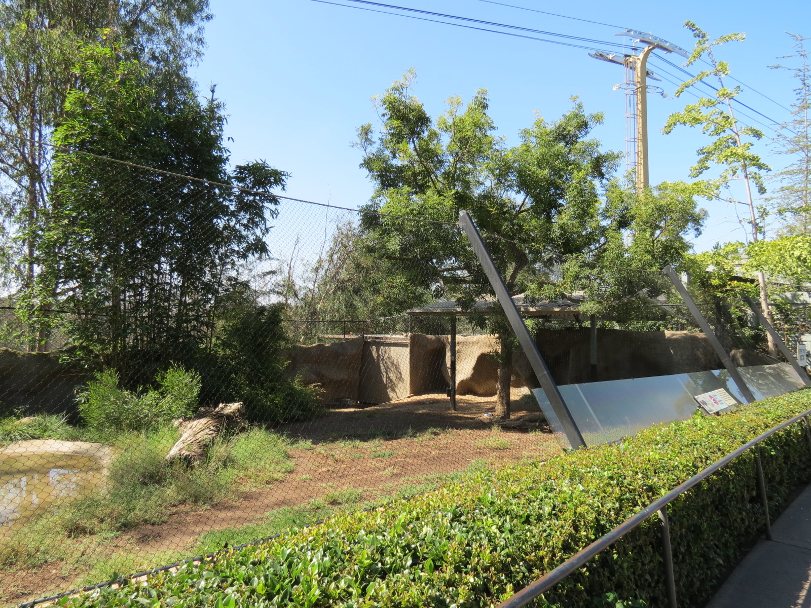 Northern Frontier - Maned Wolf Exhibit