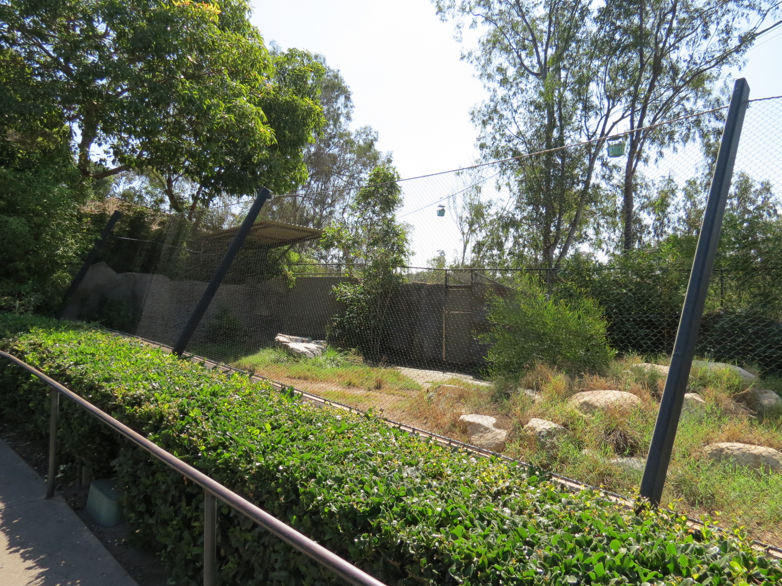 Northern Frontier - Maned Wolf Exhibit