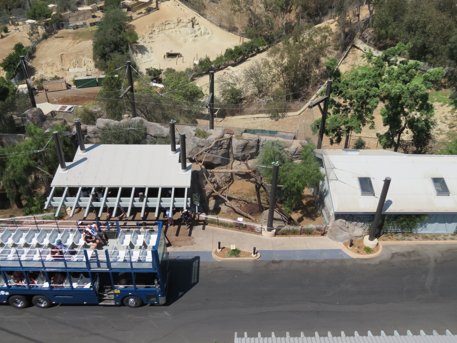 Northern Frontier - Mountain Lion Exhibit