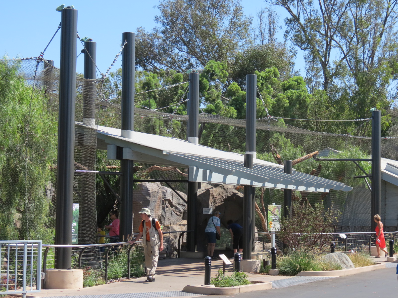 Northern Frontier - Mountain Lion Exhibit