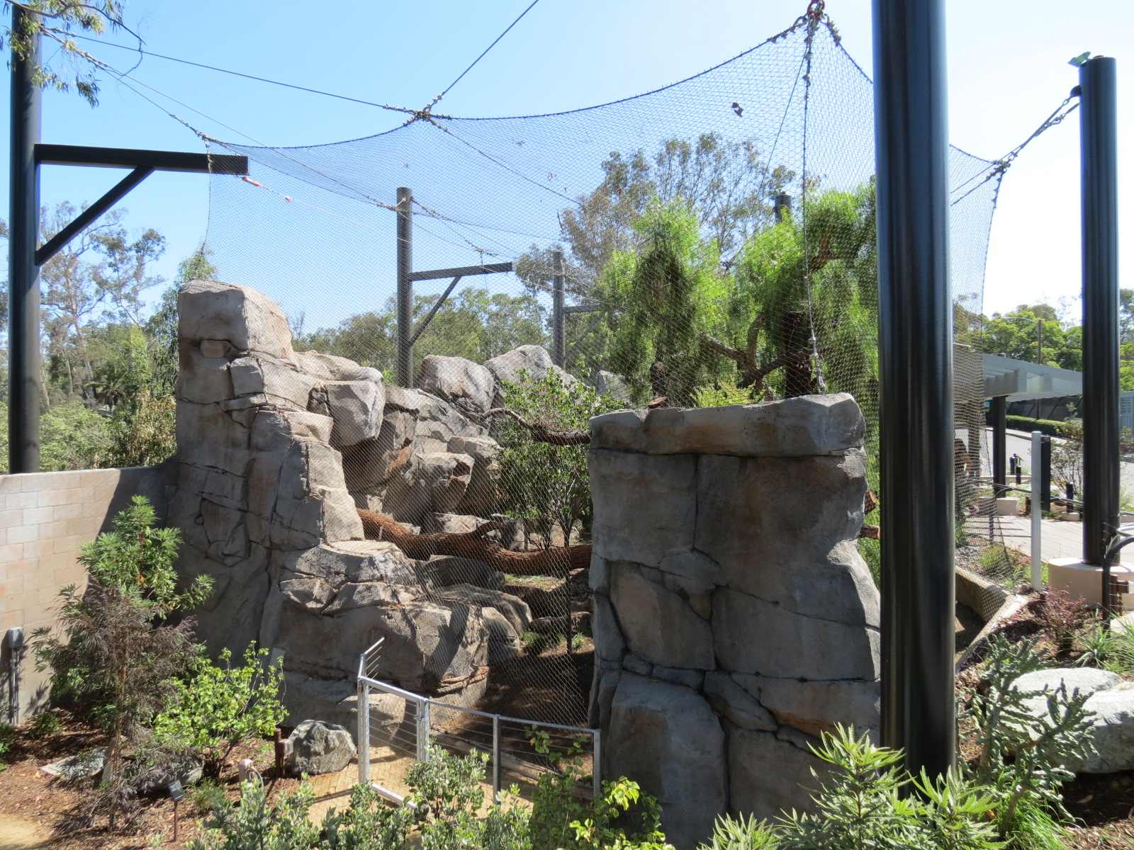 Northern Frontier - Mountain Lion Exhibit