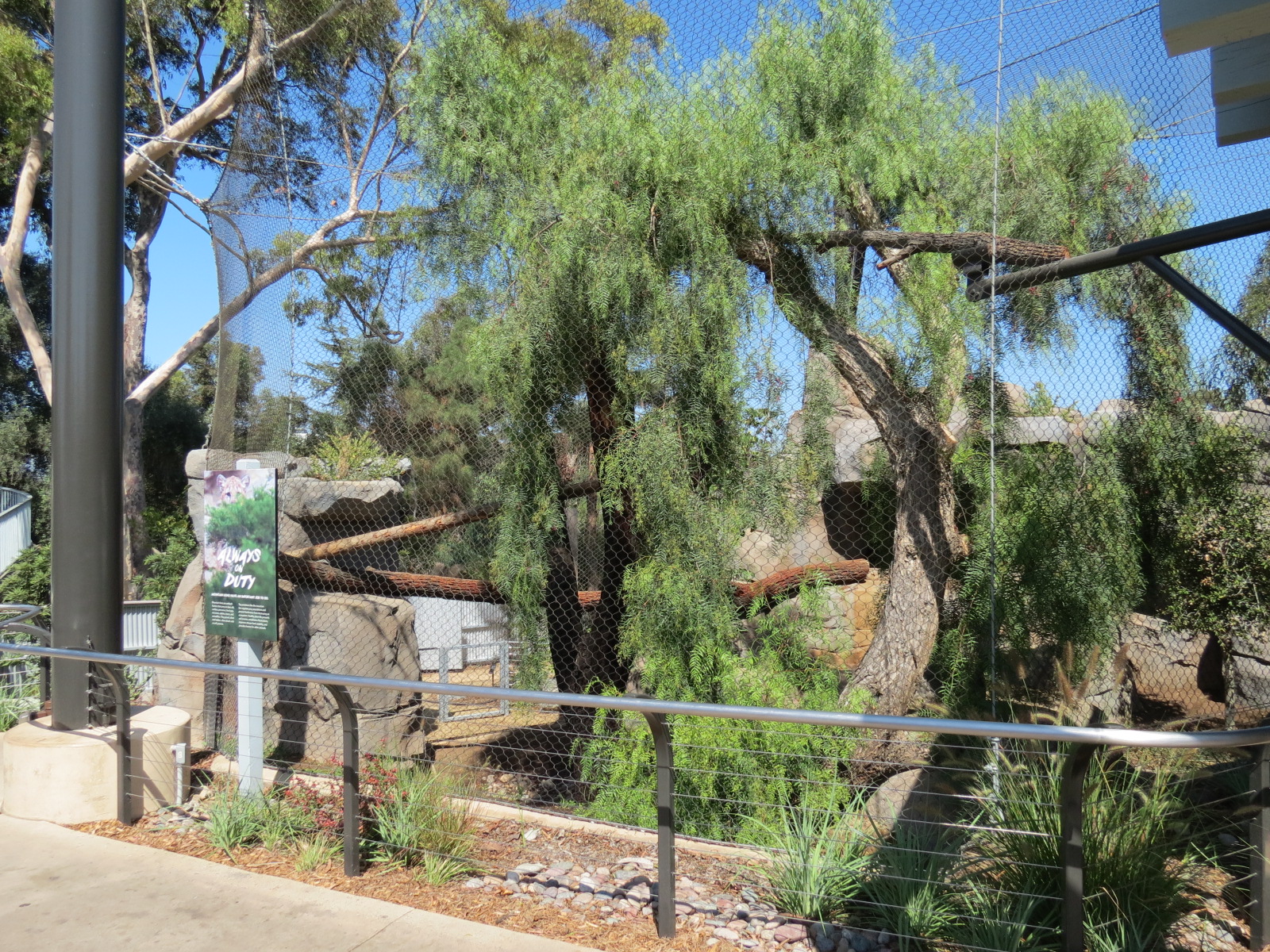 Northern Frontier - Mountain Lion Exhibit