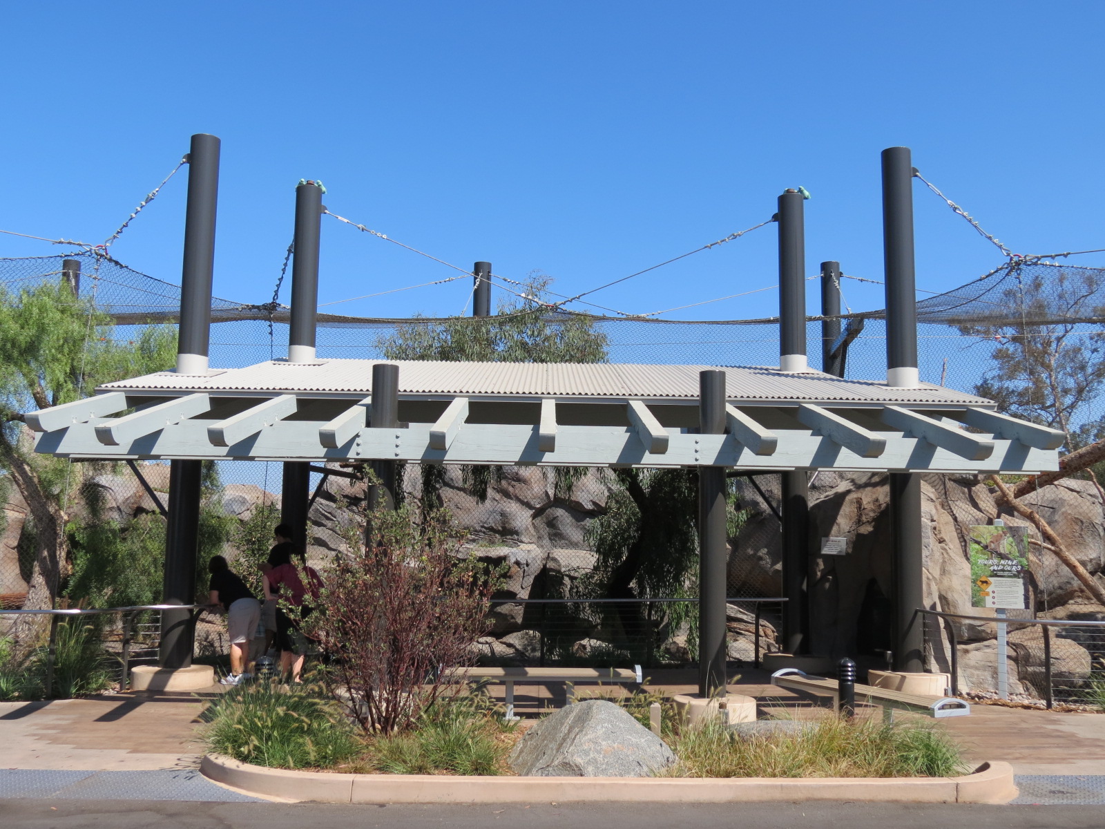Northern Frontier - Mountain Lion Exhibit