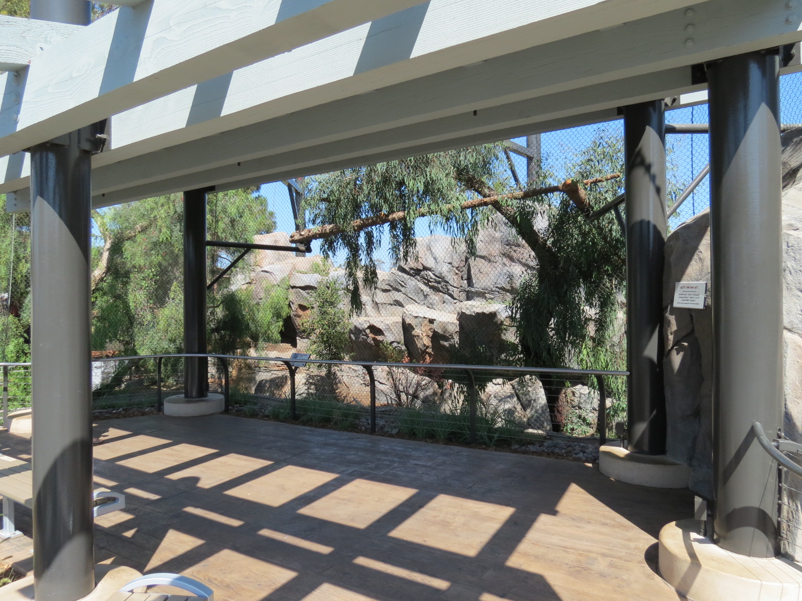 Northern Frontier - Mountain Lion Exhibit