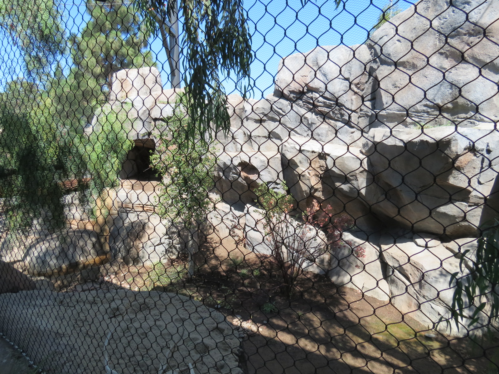 Northern Frontier - Mountain Lion Exhibit