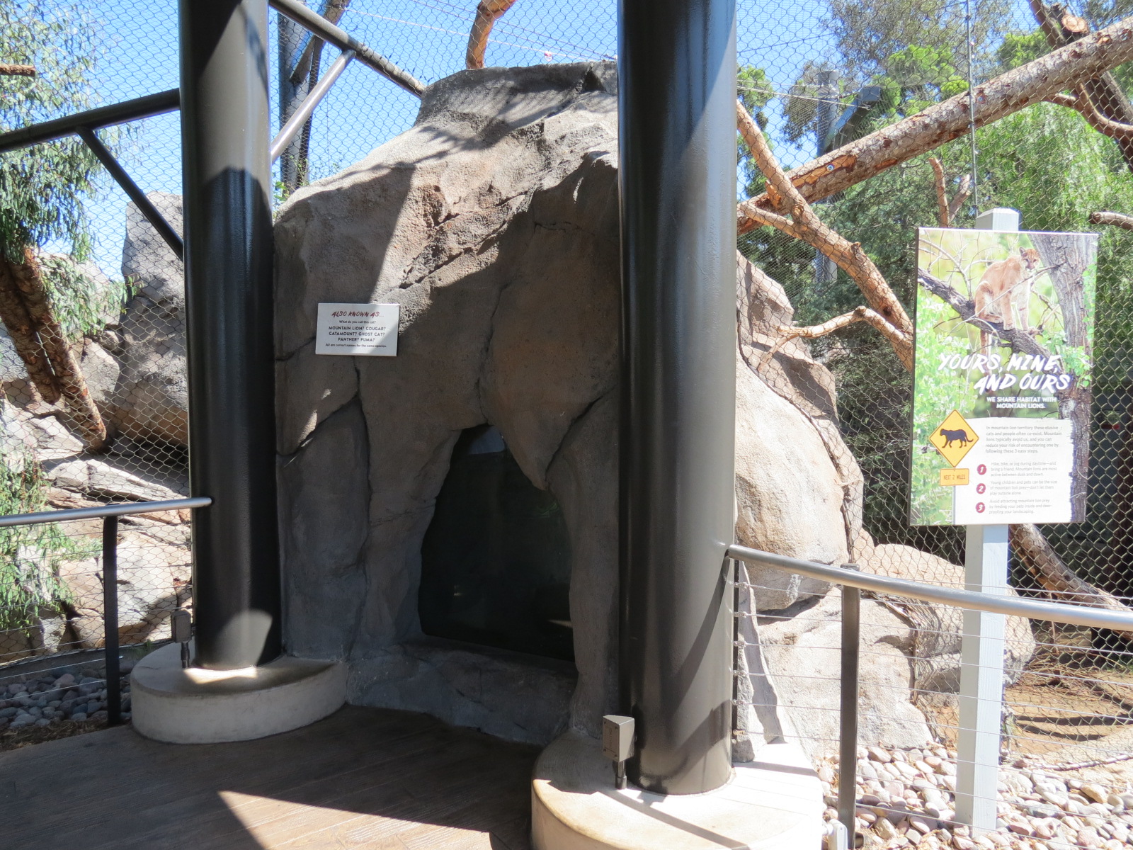 Northern Frontier - Mountain Lion Exhibit