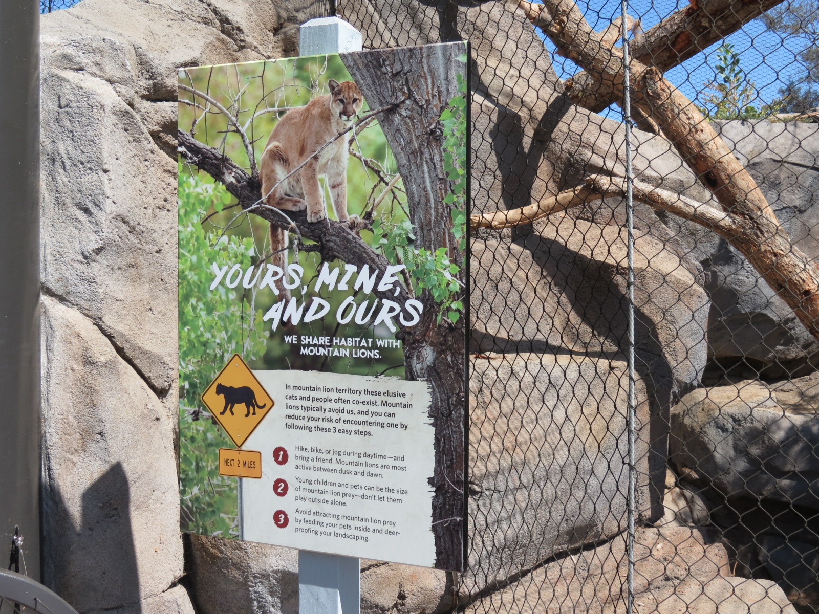 Northern Frontier - Mountain Lion Exhibit