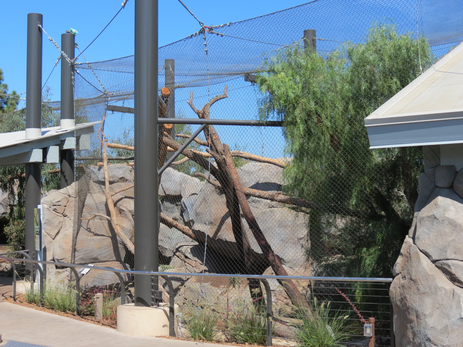 Northern Frontier - Mountain Lion Exhibit