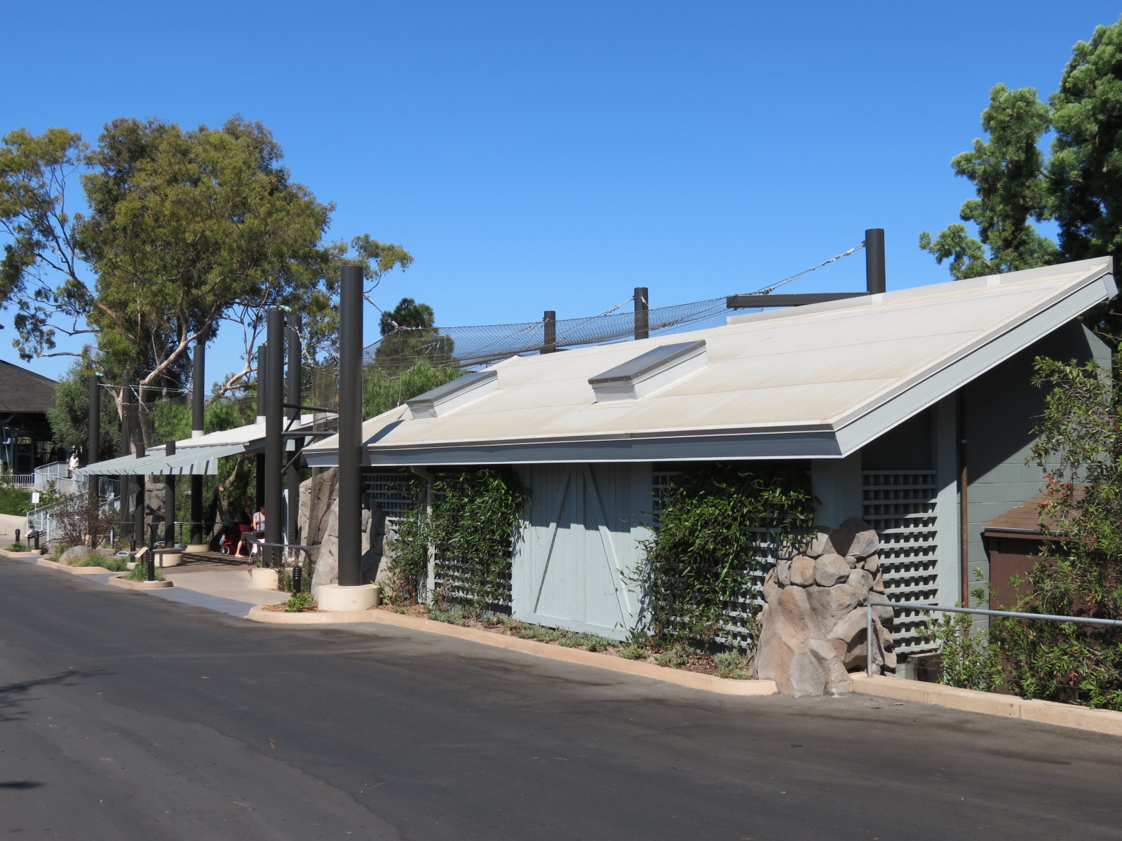 Northern Frontier - Mountain Lion Exhibit