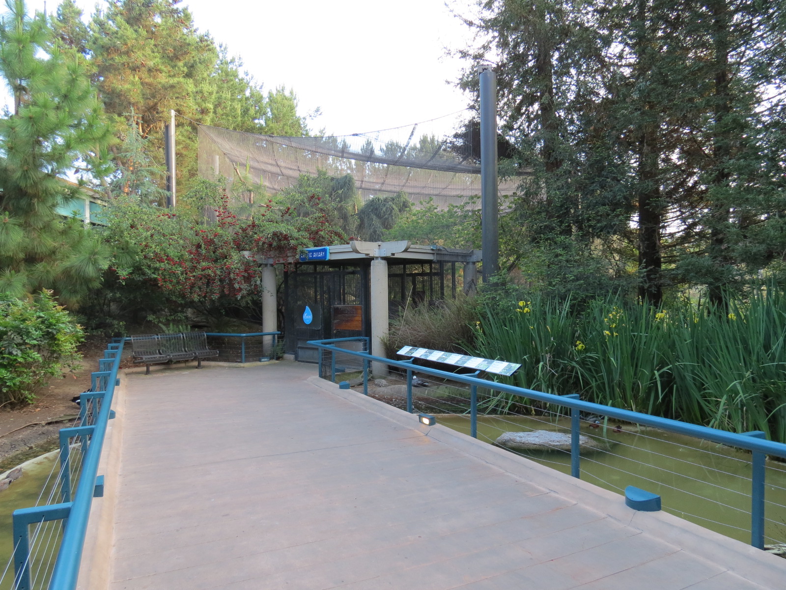 Northern Frontier - Polar Bear Plunge - 2 Waterfowl Exhibits