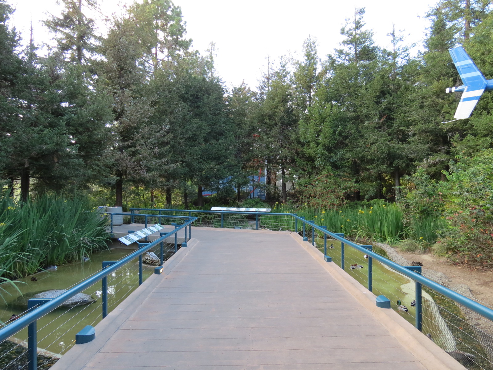 Northern Frontier - Polar Bear Plunge - 2 Waterfowl Exhibits