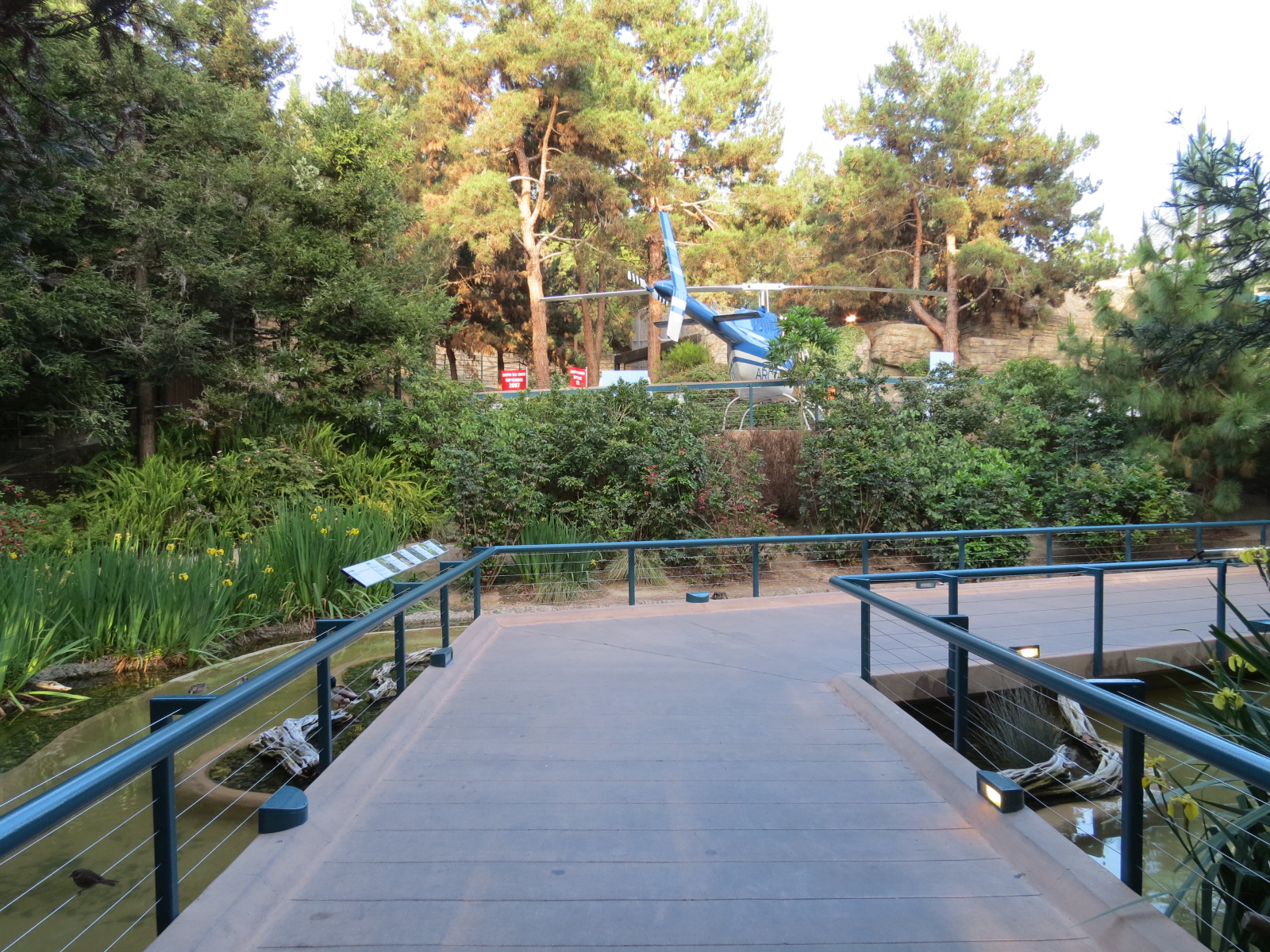 Northern Frontier - Polar Bear Plunge - 2 Waterfowl Exhibits