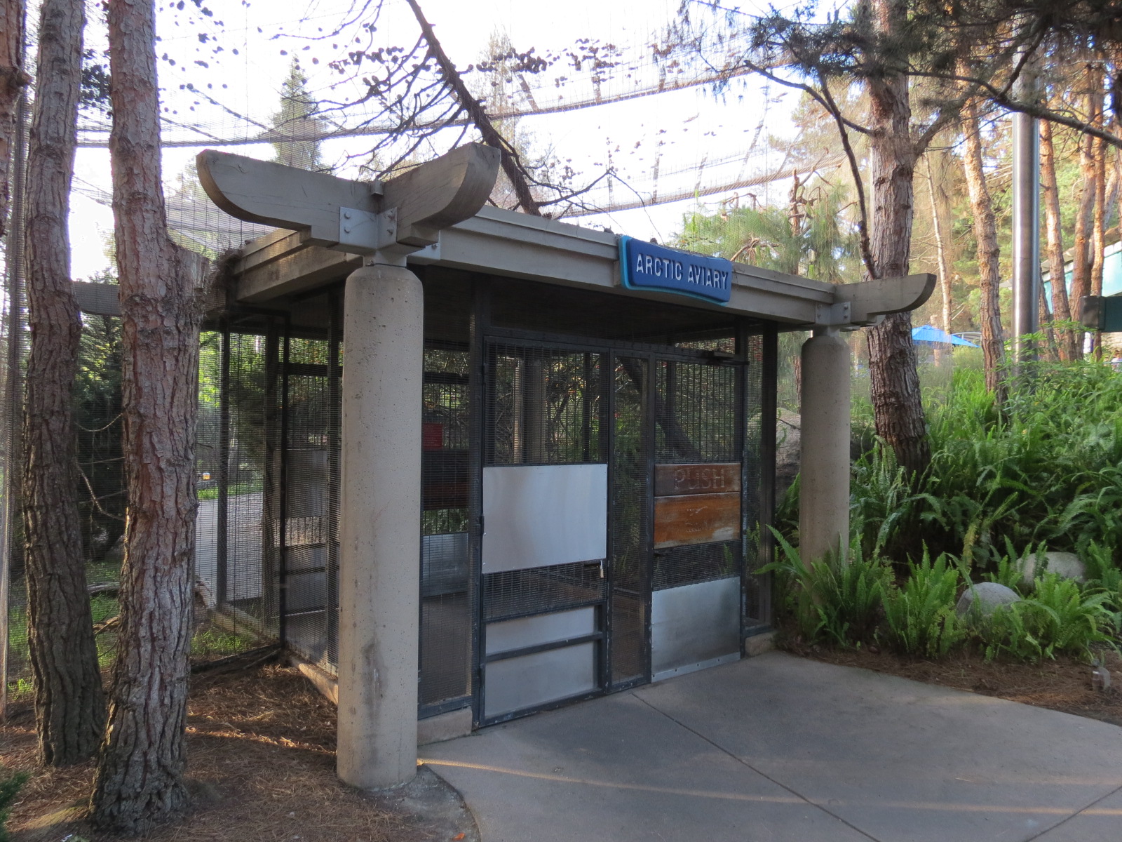 Northern Frontier - Polar Bear Plunge - Arctic Aviary