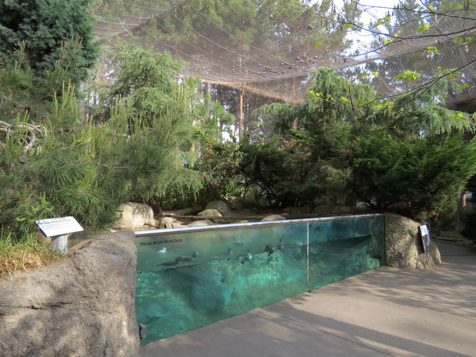 Northern Frontier - Polar Bear Plunge - Arctic Aviary