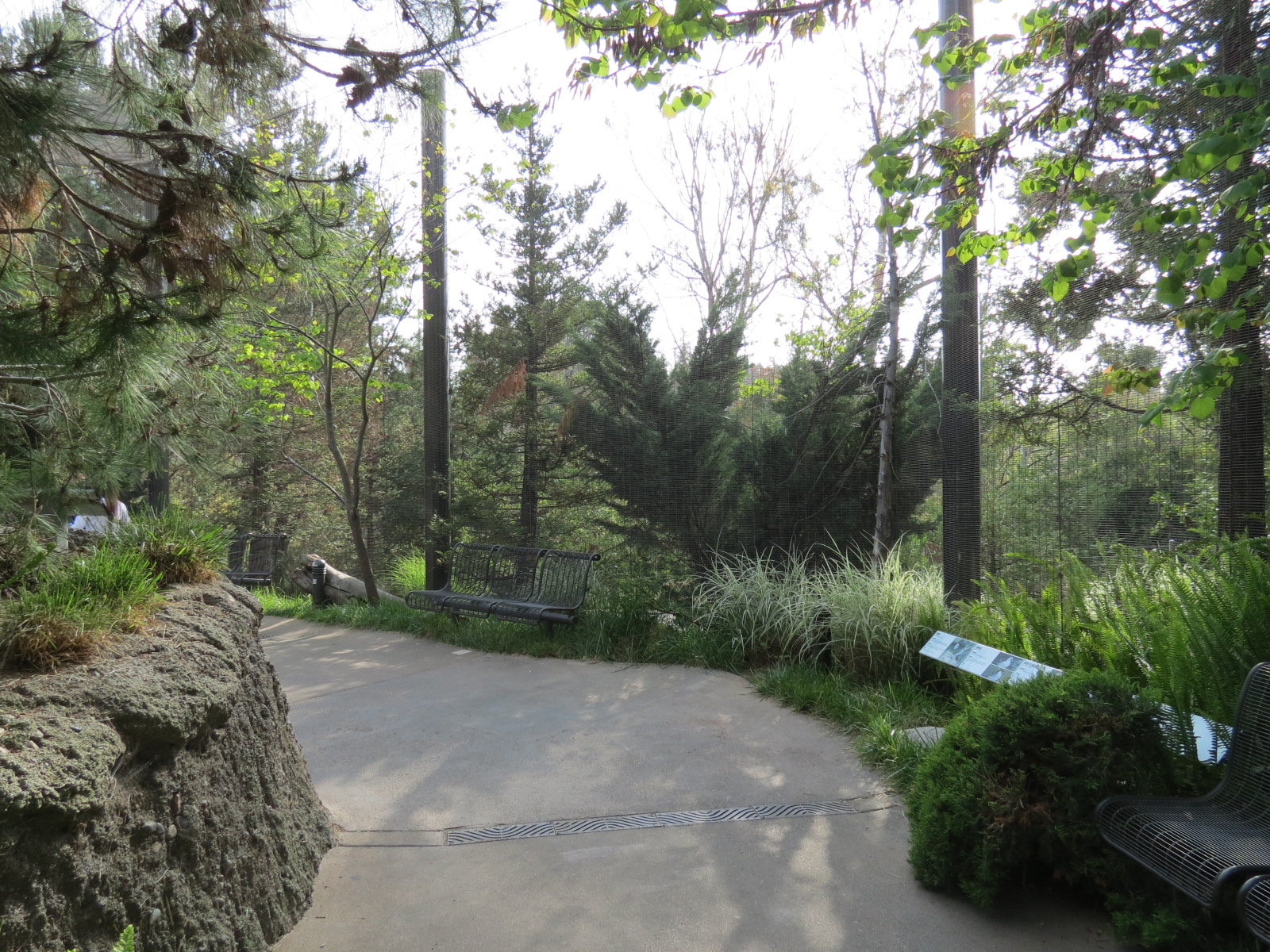 Northern Frontier - Polar Bear Plunge - Arctic Aviary