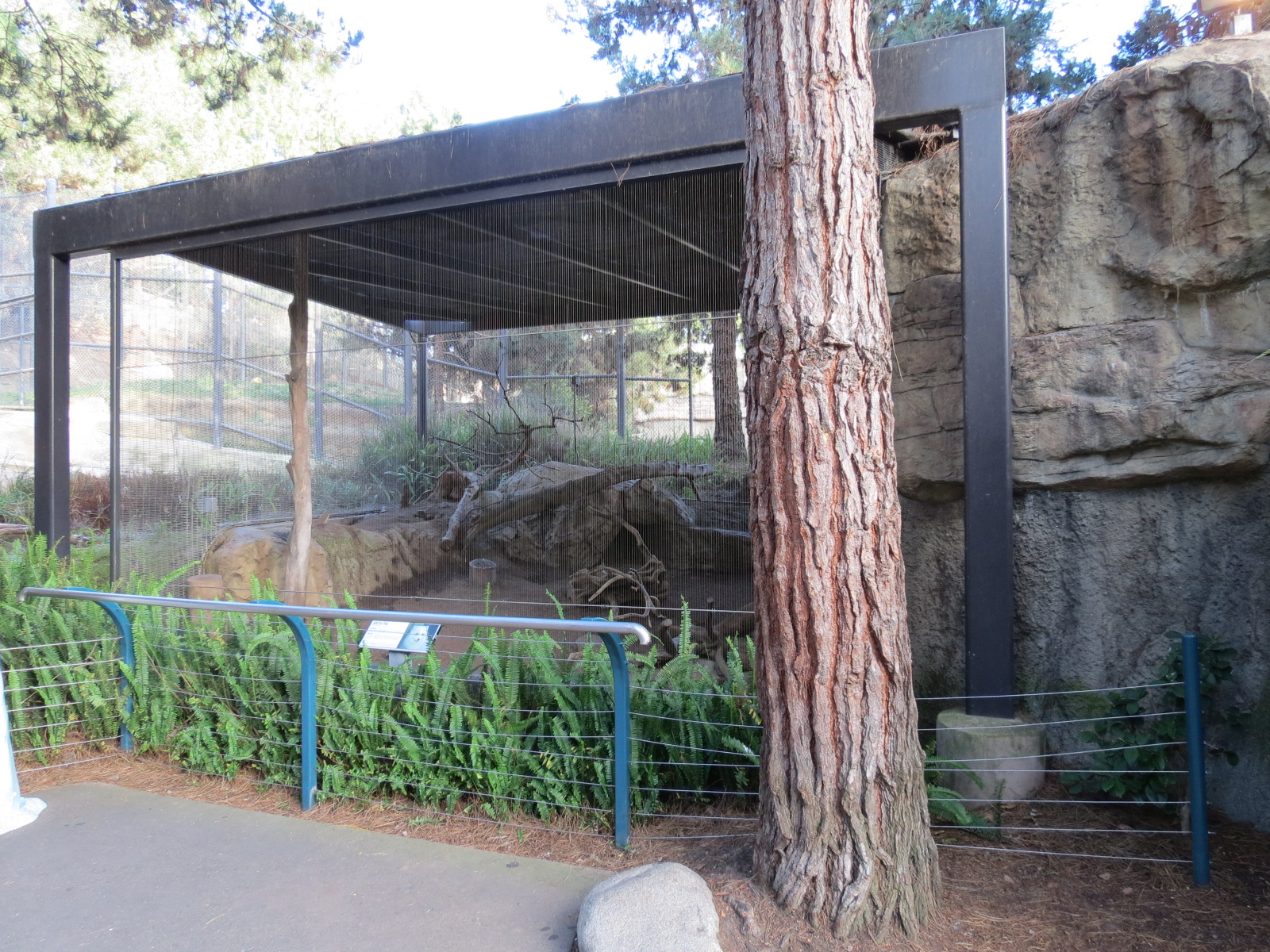 Northern Frontier - Polar Bear Plunge - Arctic Fox Exhibit