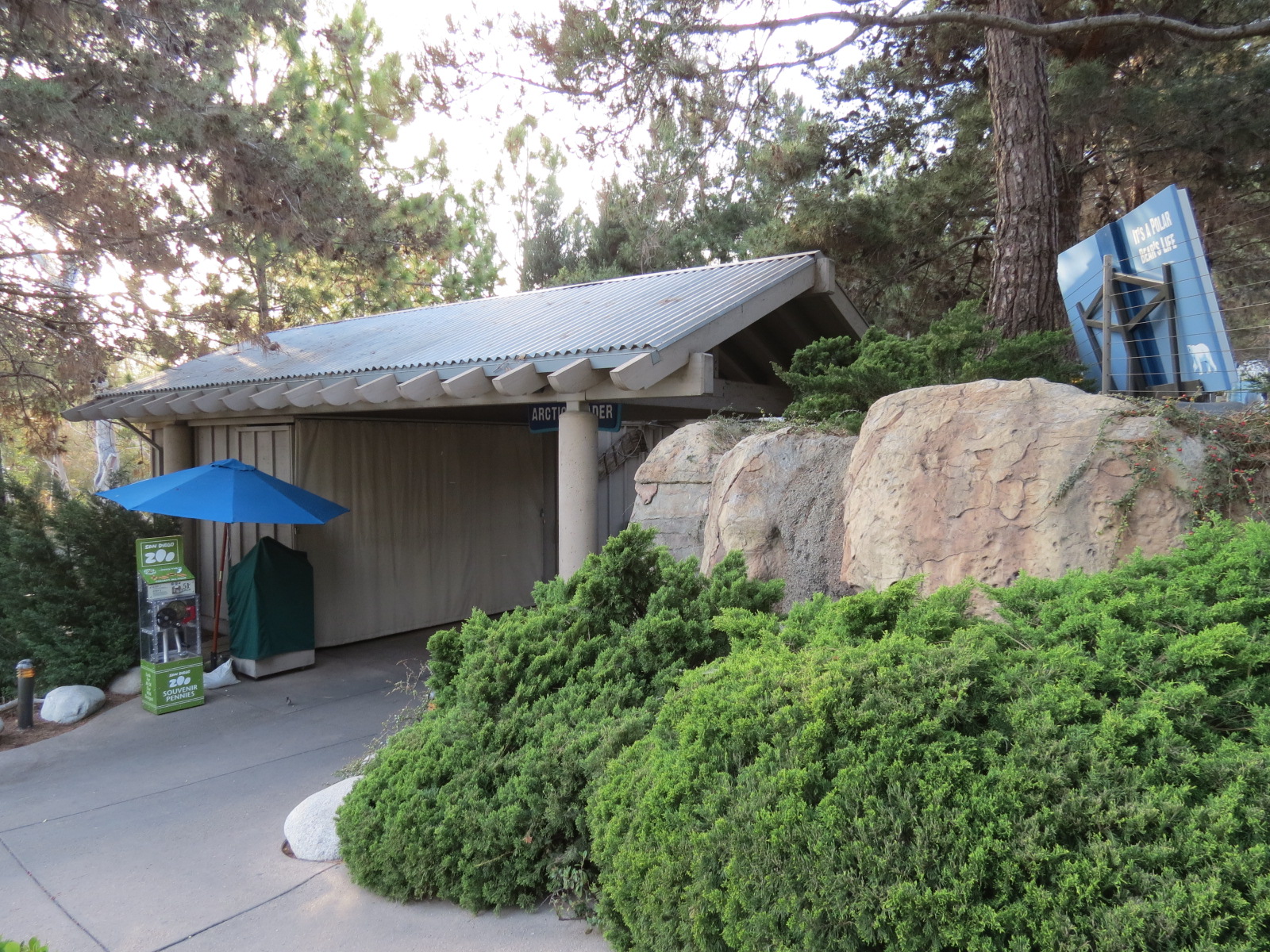 Northern Frontier - Polar Bear Plunge - Arctic Trader Shop